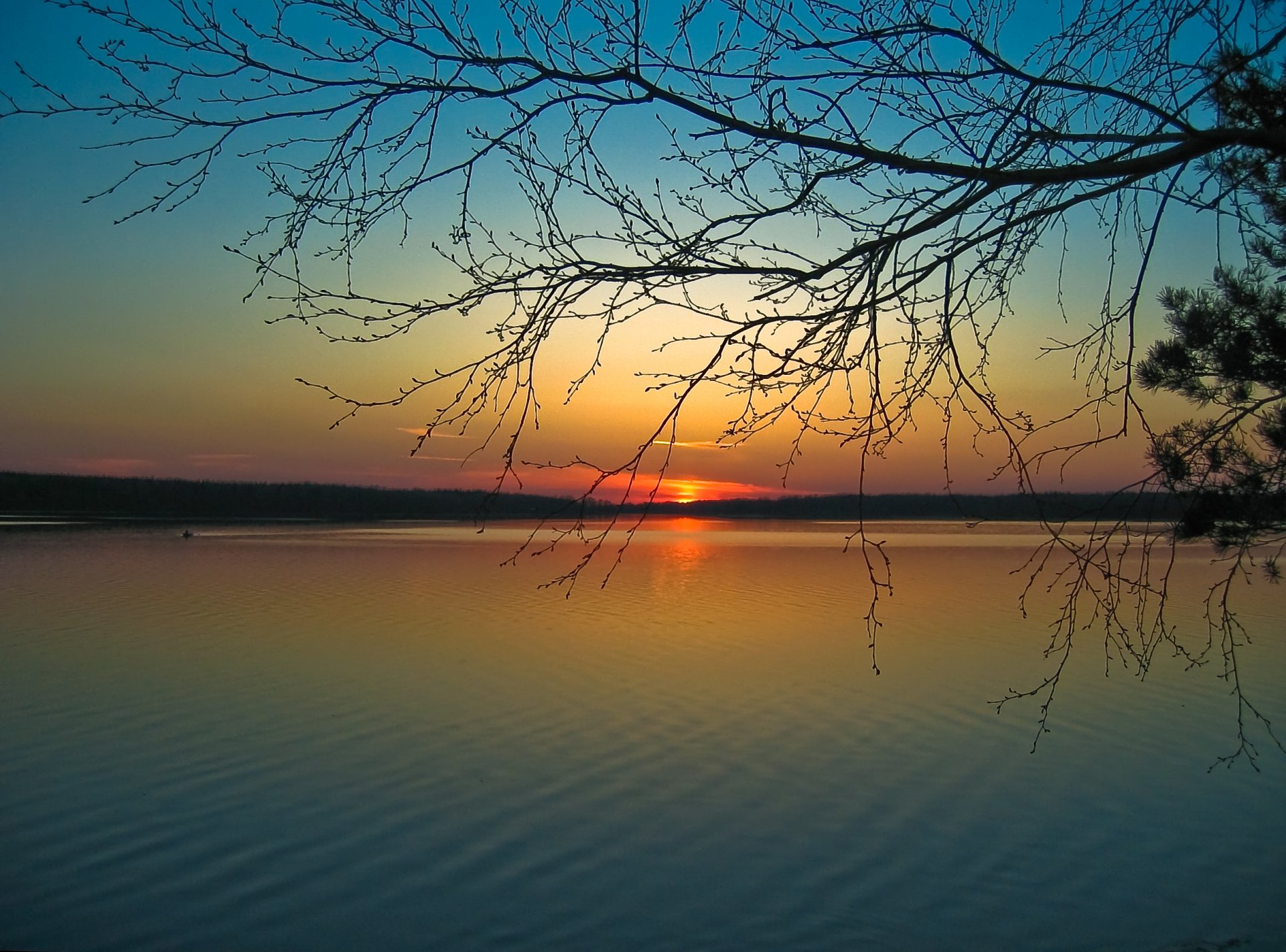 unset night sun silence branch river of mind harmony beach