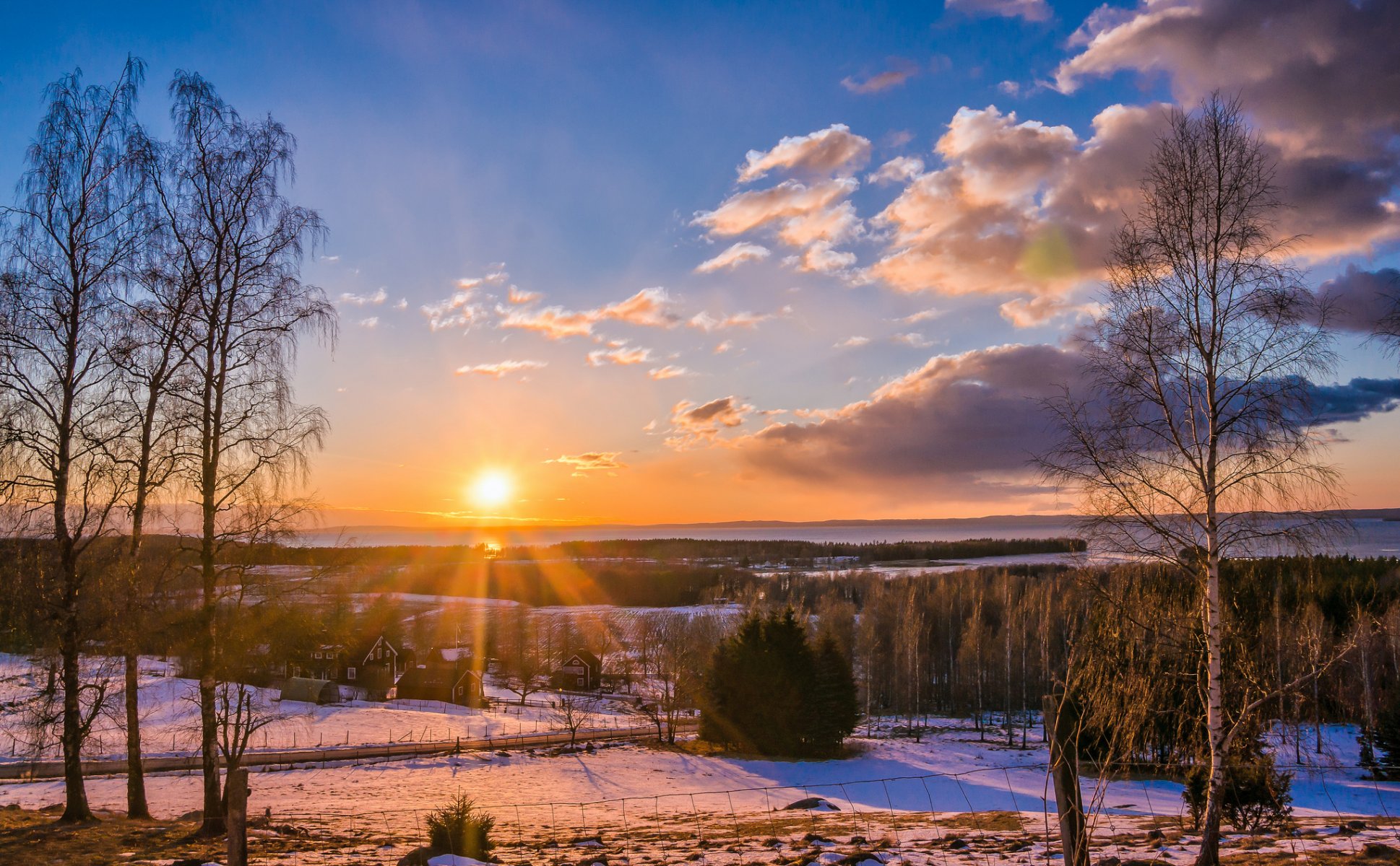 wald dorf straße bäume sonne sonnenuntergang winter