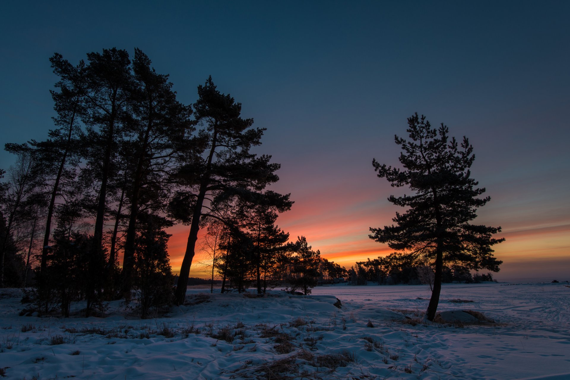 inverno neve alberi tramonto crepuscolo