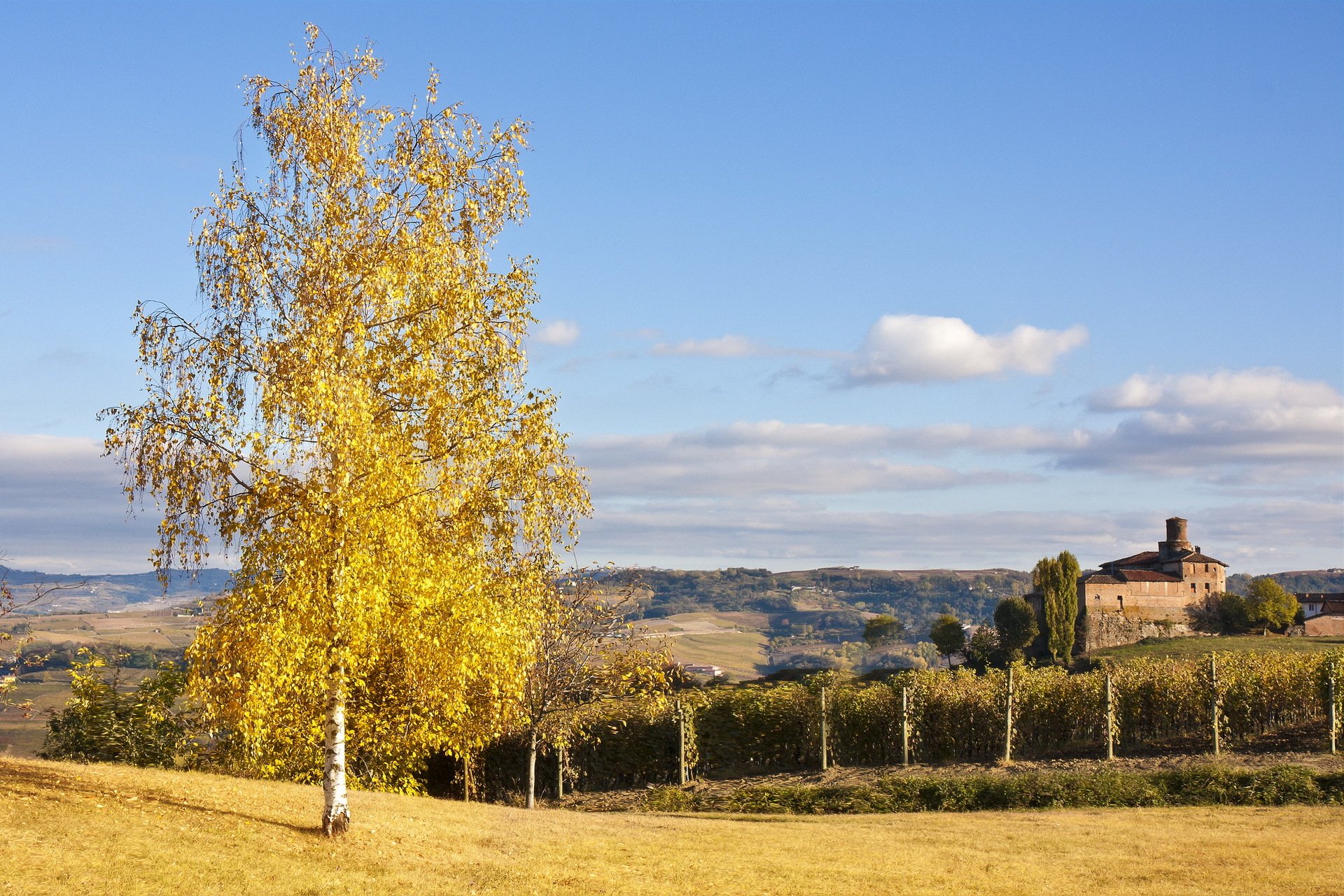 campo árbol casa paisaje