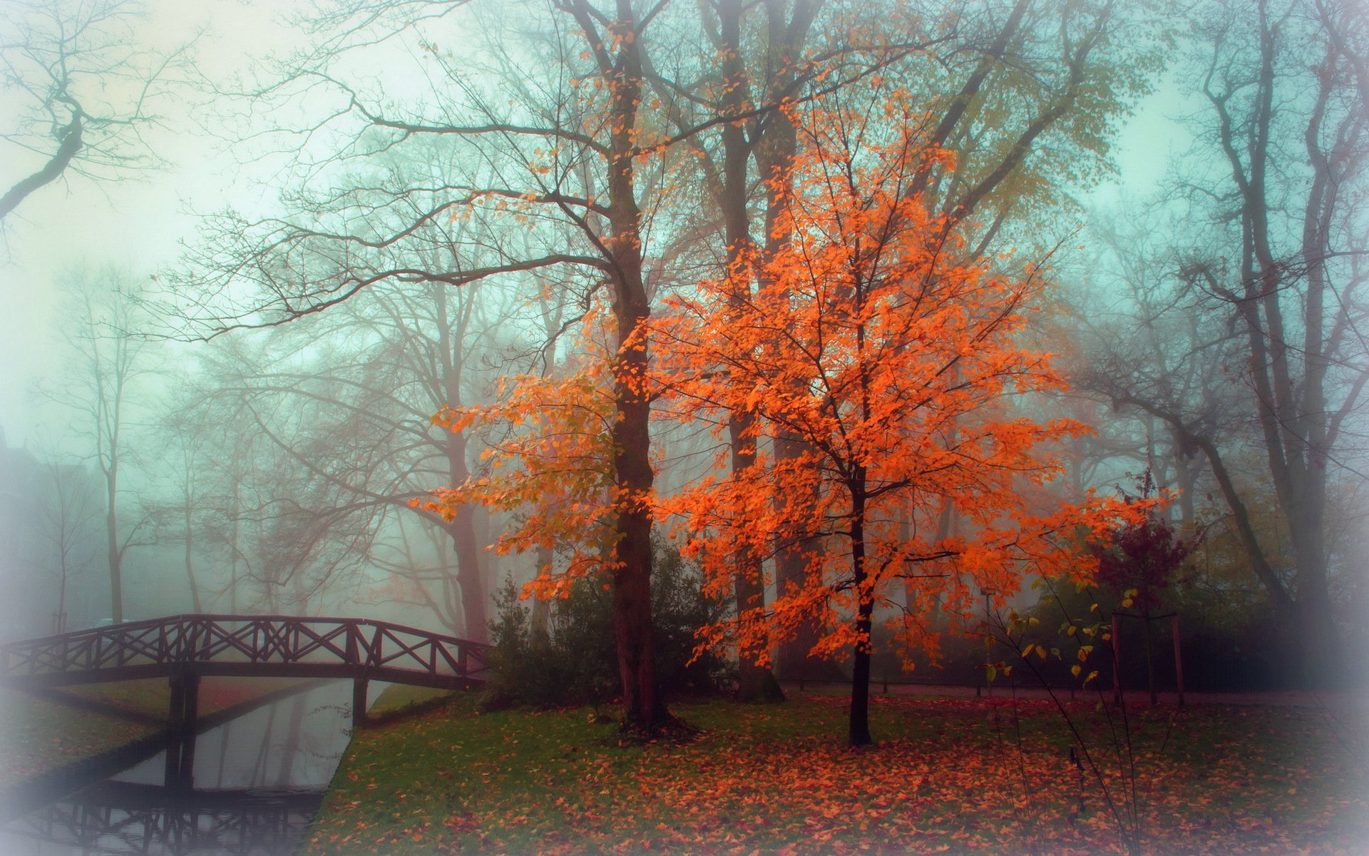 park jesień mgła krajobraz