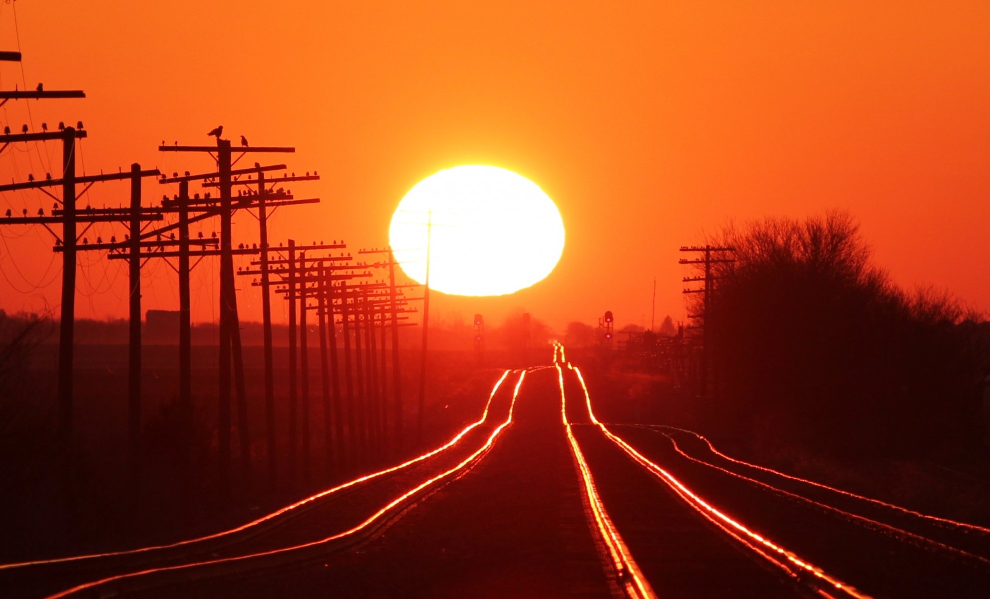 rails chemin de fer ciel soleil coucher de soleil piliers arbres