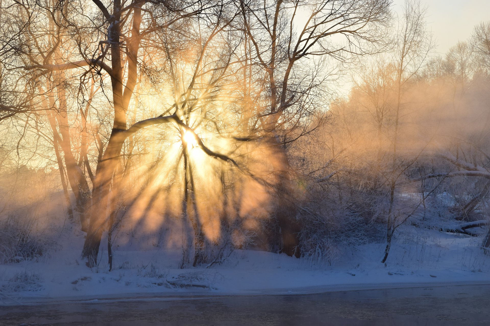 inverno mattina alba sole raggi nebbia fiume alberi foresta gelo neve gelo cielo luce ombra