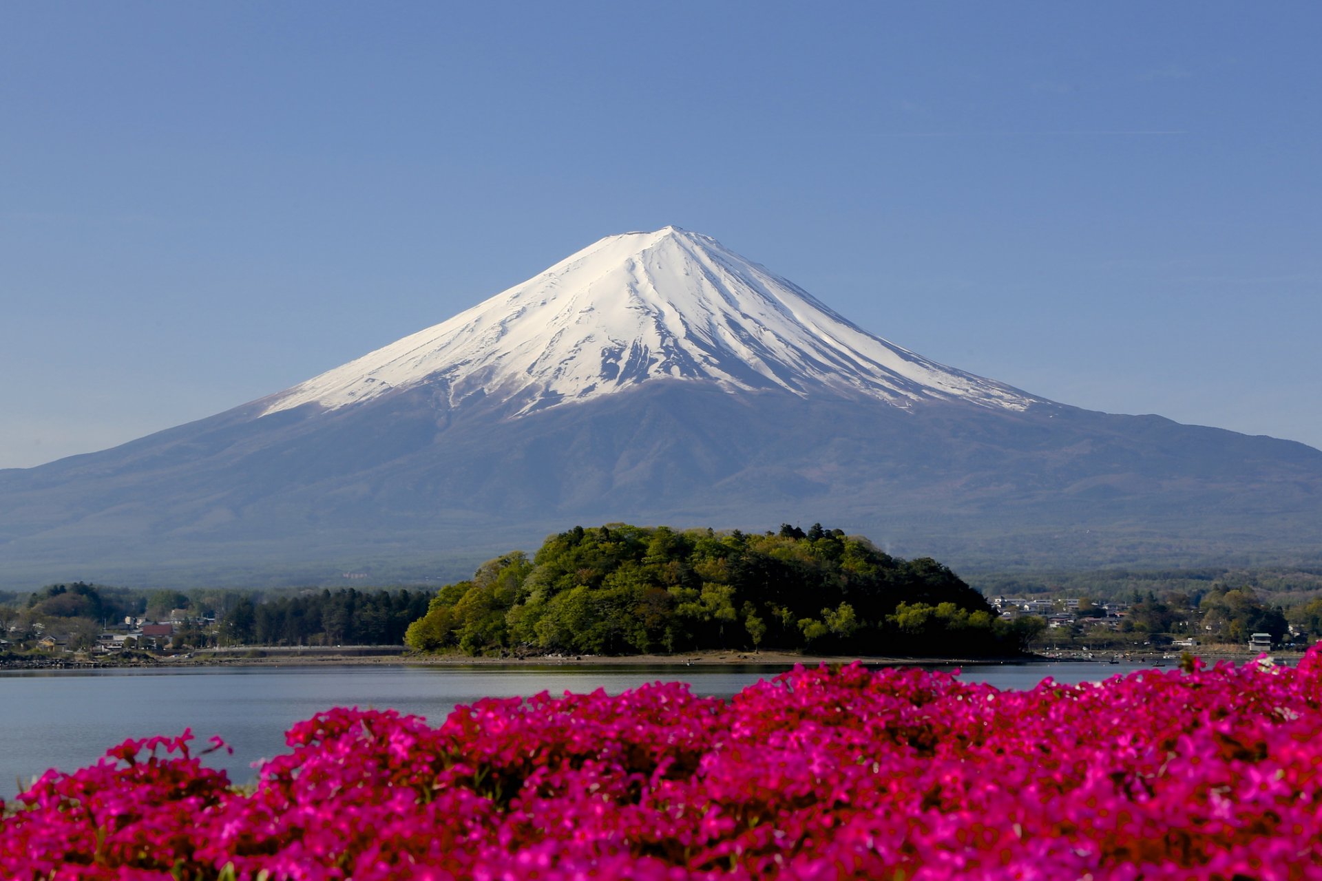 góra szczyt śnieg kwiaty focus fujiyama