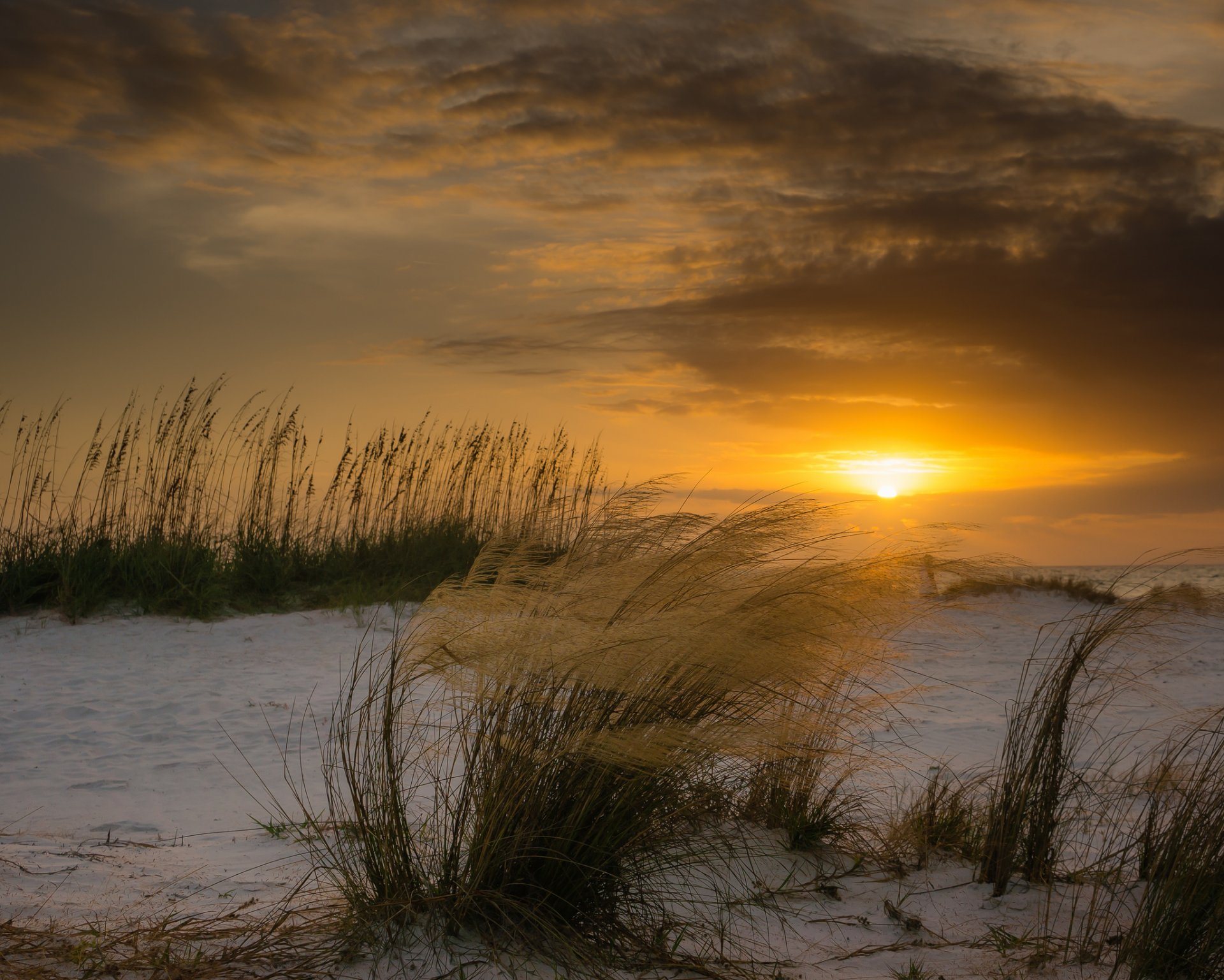 floride plage vent plantes dunes soleil coucher de soleil hiver