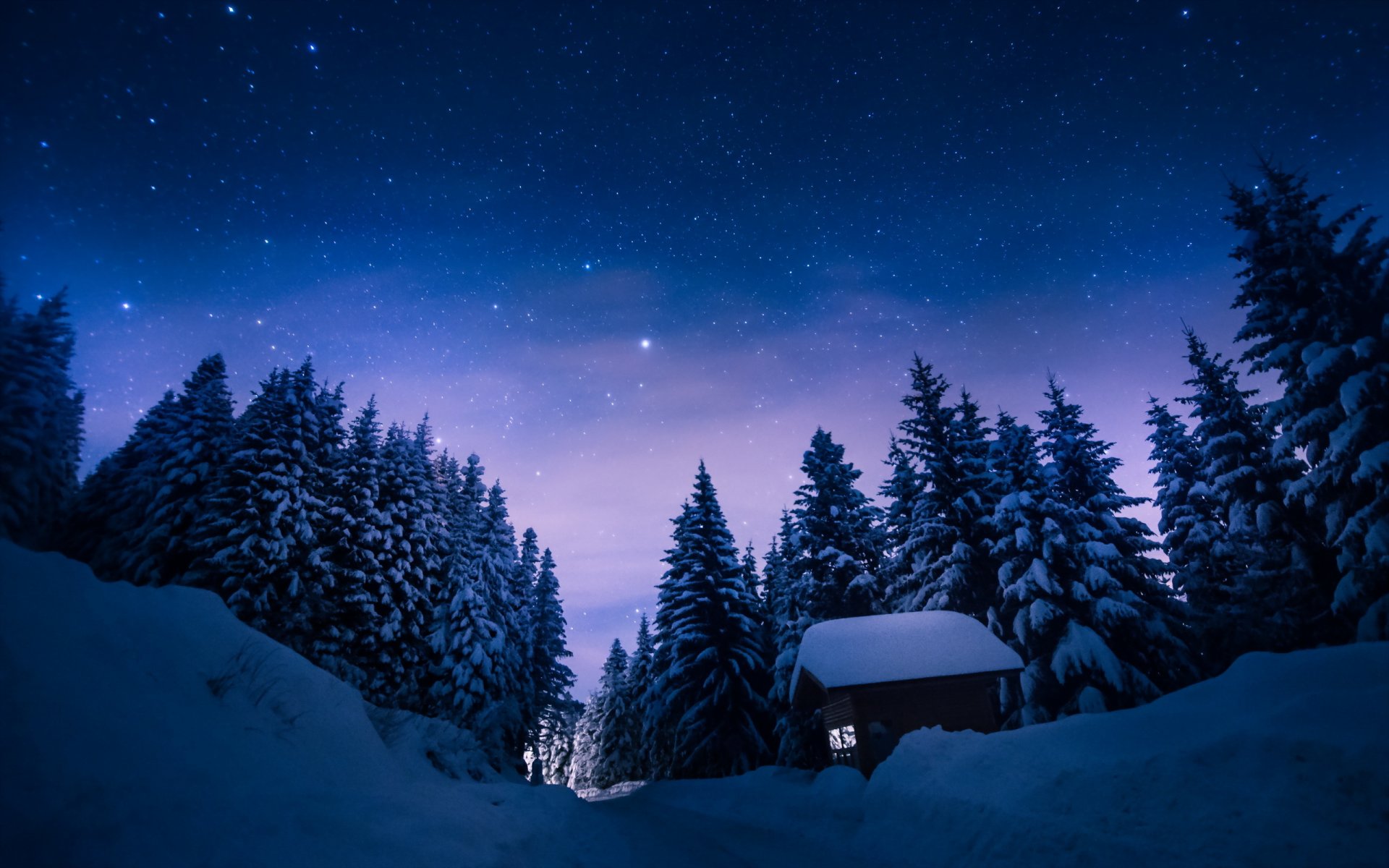 nuit hiver paysage