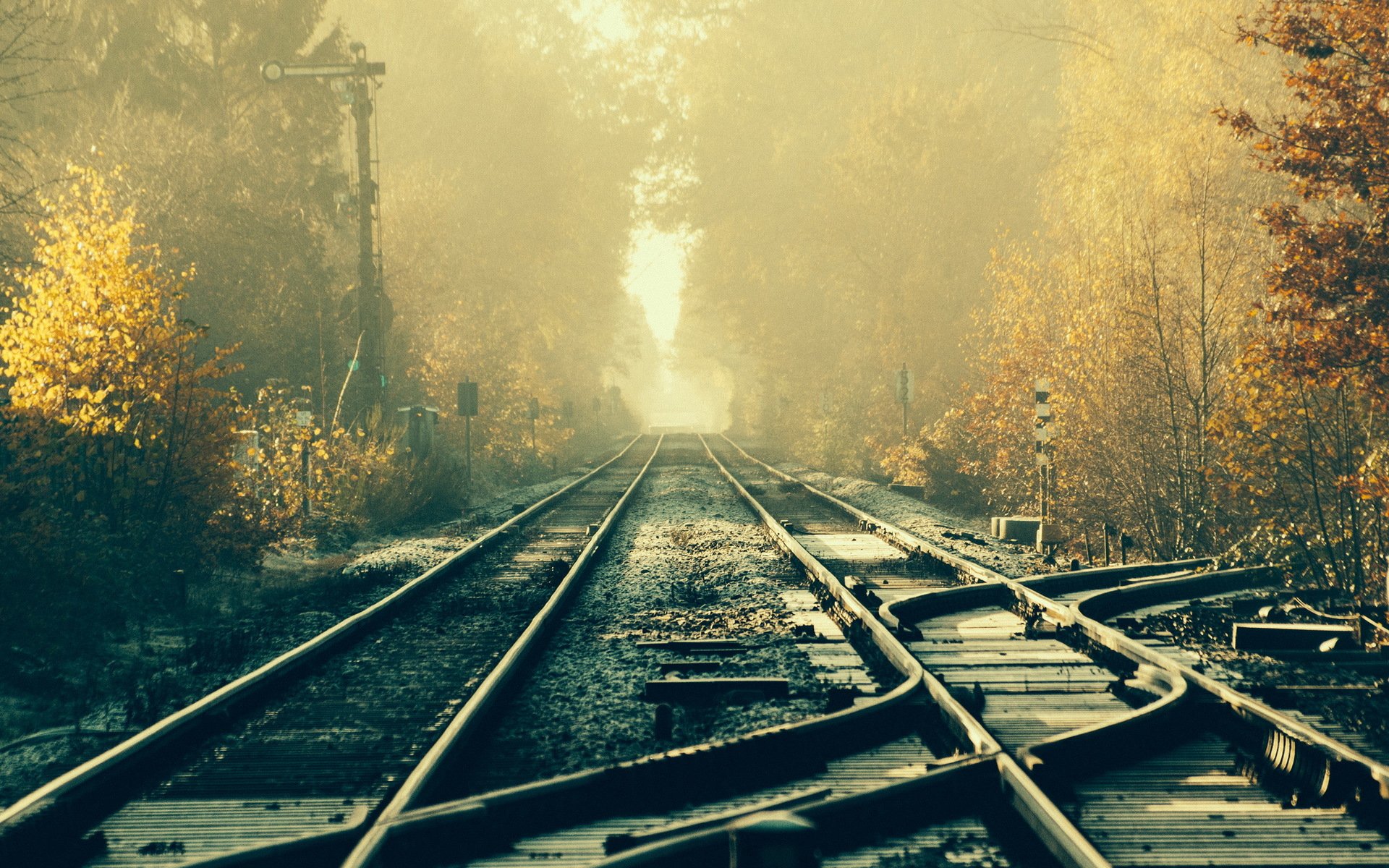 railroad morning light landscape