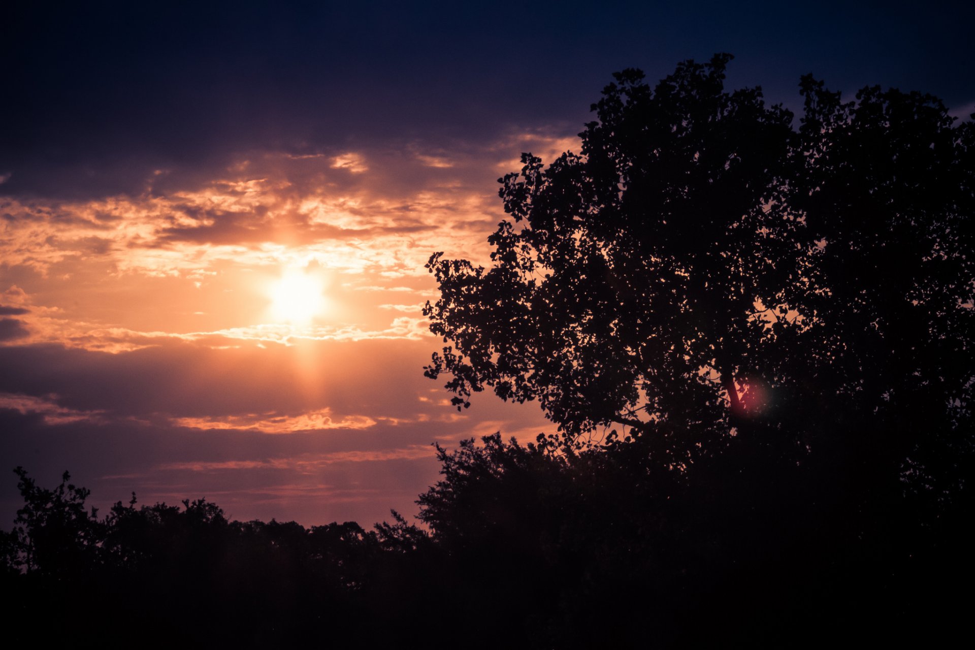 alberi sole nuvole sera crepuscolo