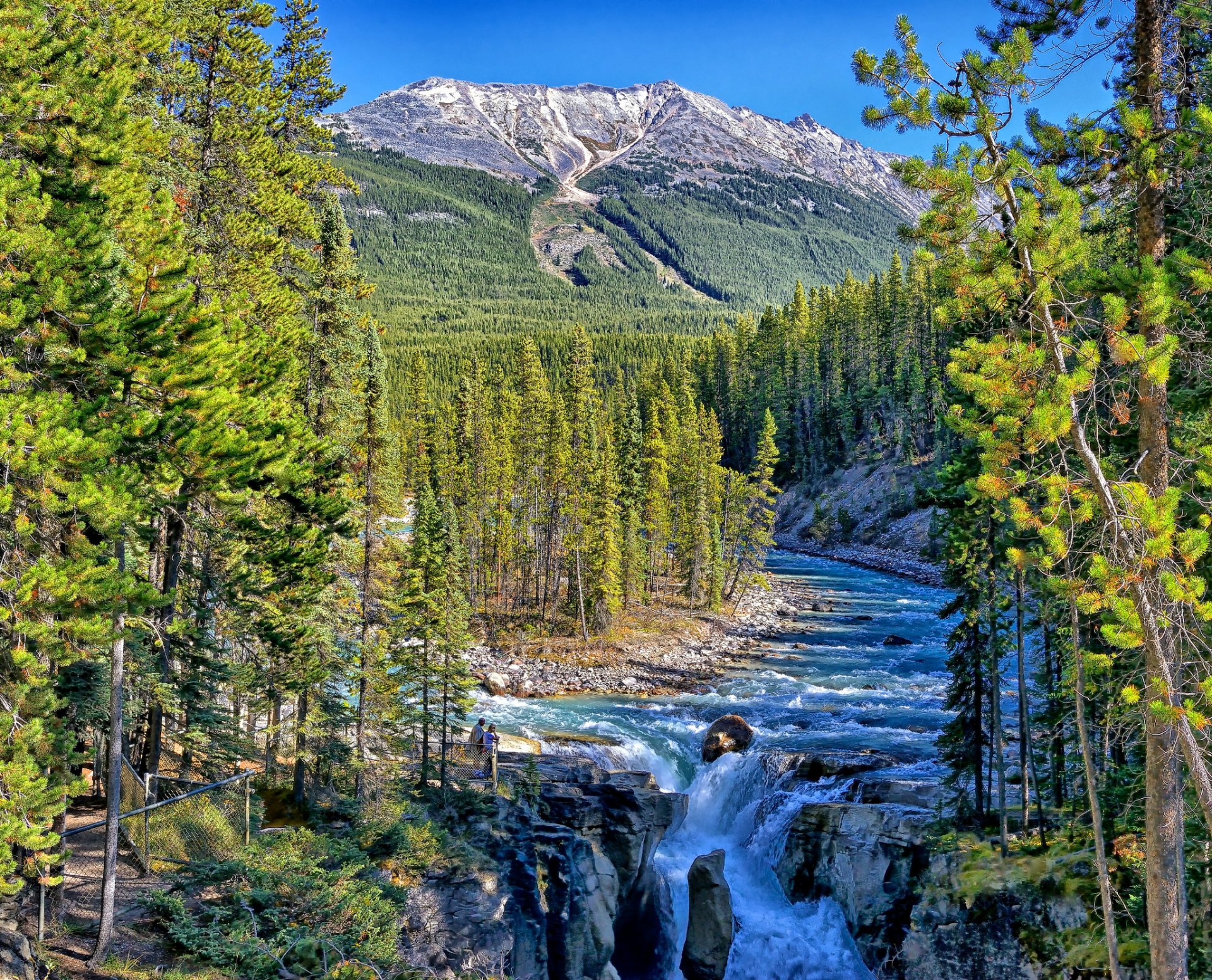 cascata di unwapta parco nazionale di jasper alberta canada sunwapta river jasper fiume montagne foresta cascata