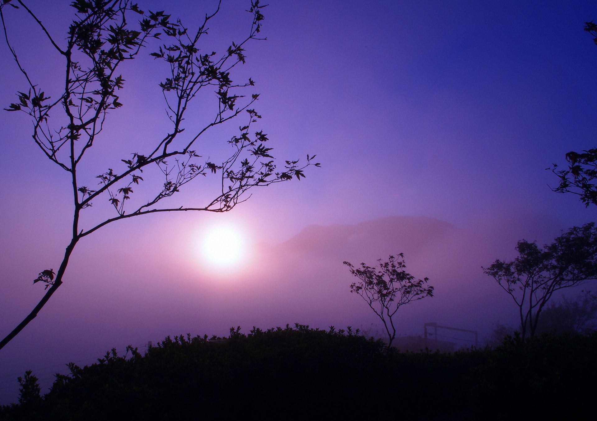 montañas árboles sol niebla crepúsculo siluetas