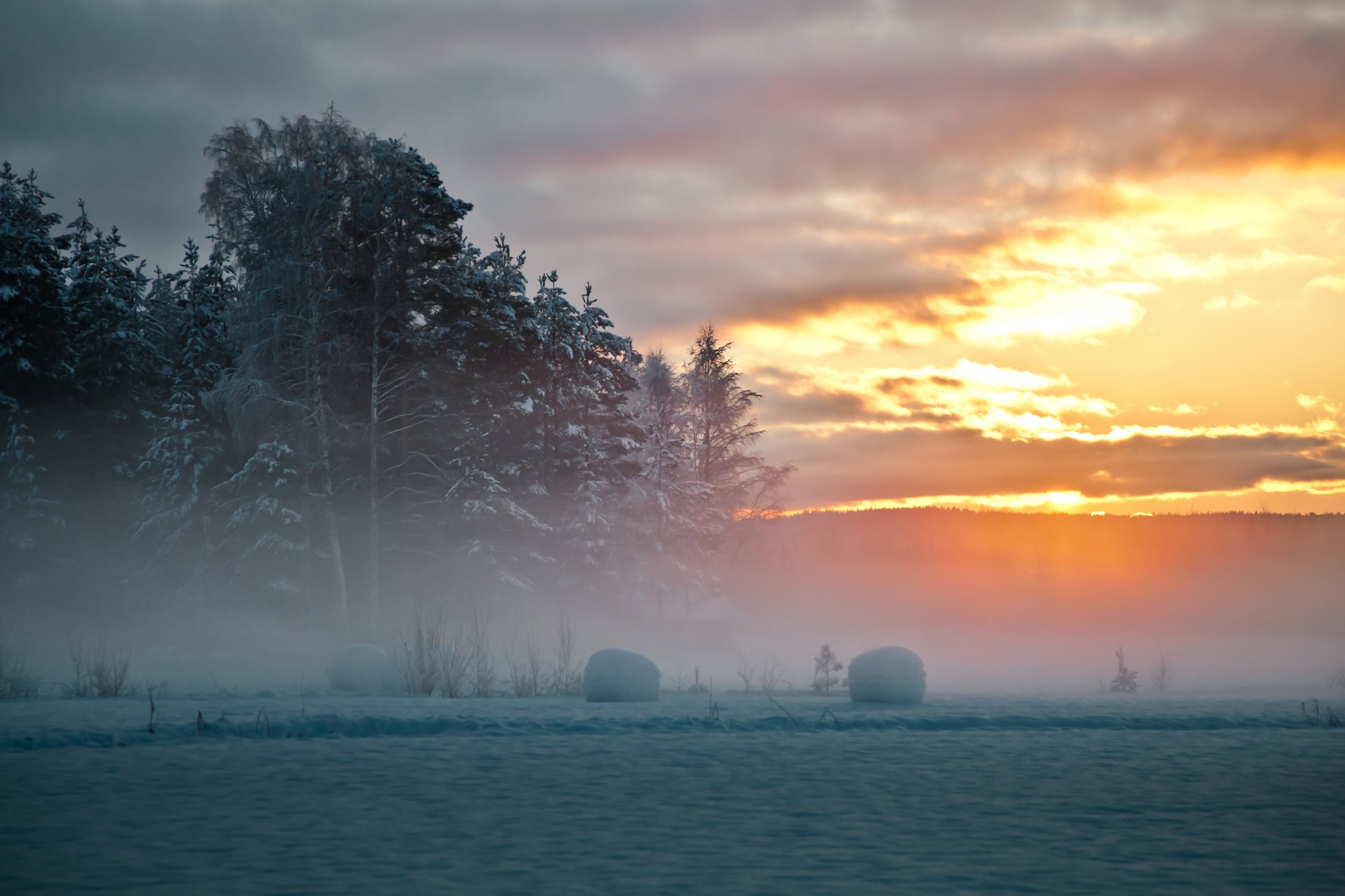 suède nord hiver neige arbres brouillard coucher de soleil