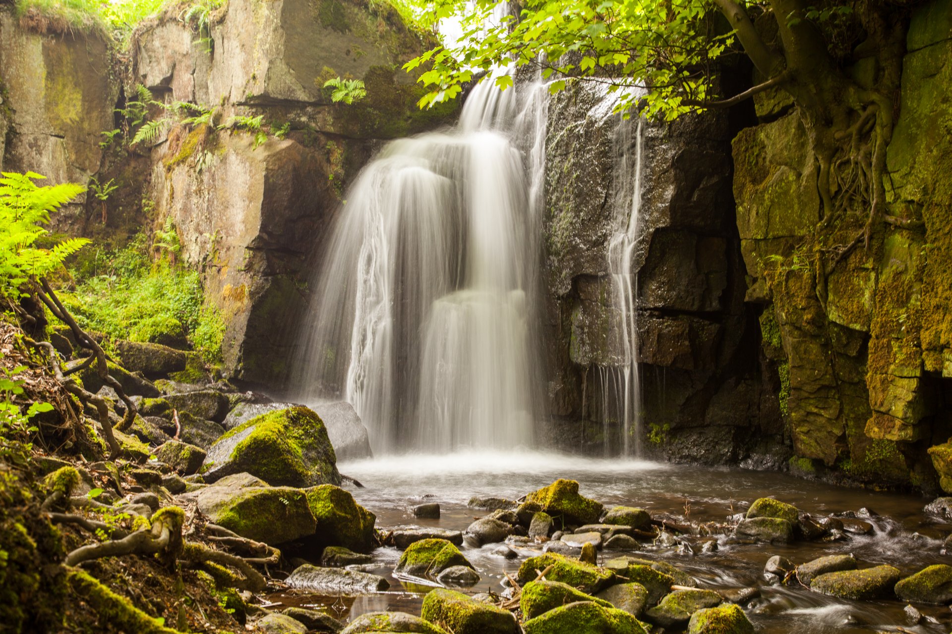 wasserfall spritzer felsen steine bäume zweige wurzeln moos