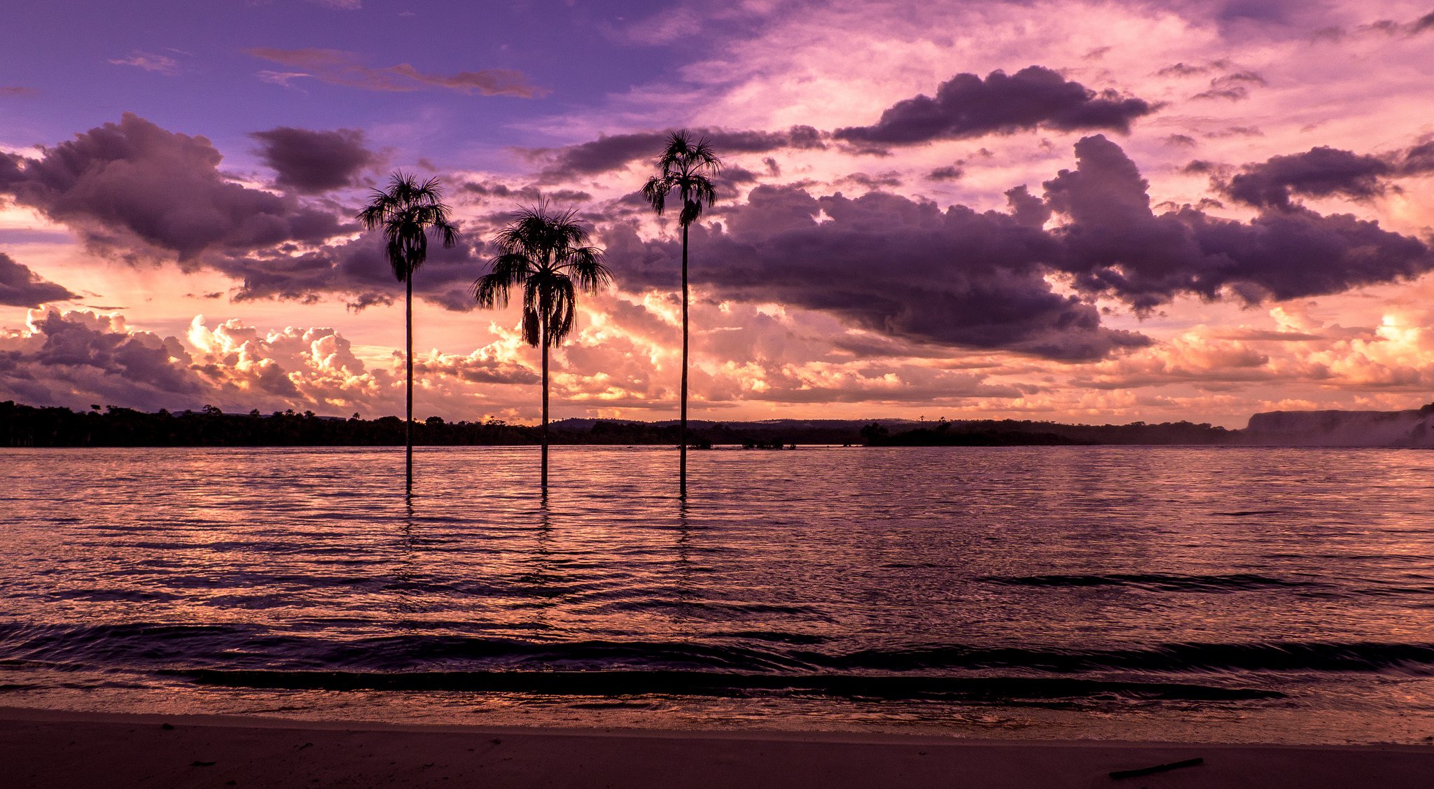 plage baie palmiers coucher de soleil