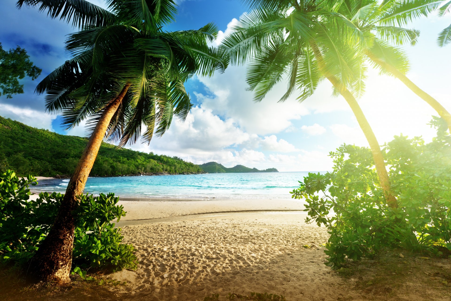 landscape island beach sea palm sky cloud