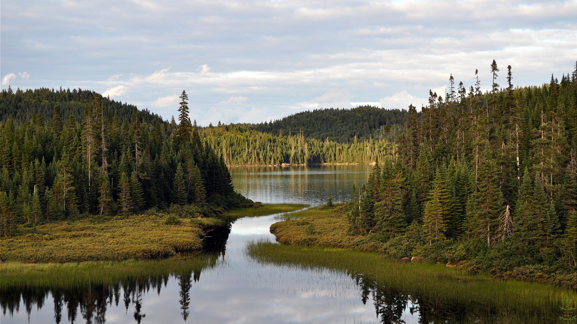 rivière baie forêt ciel nature