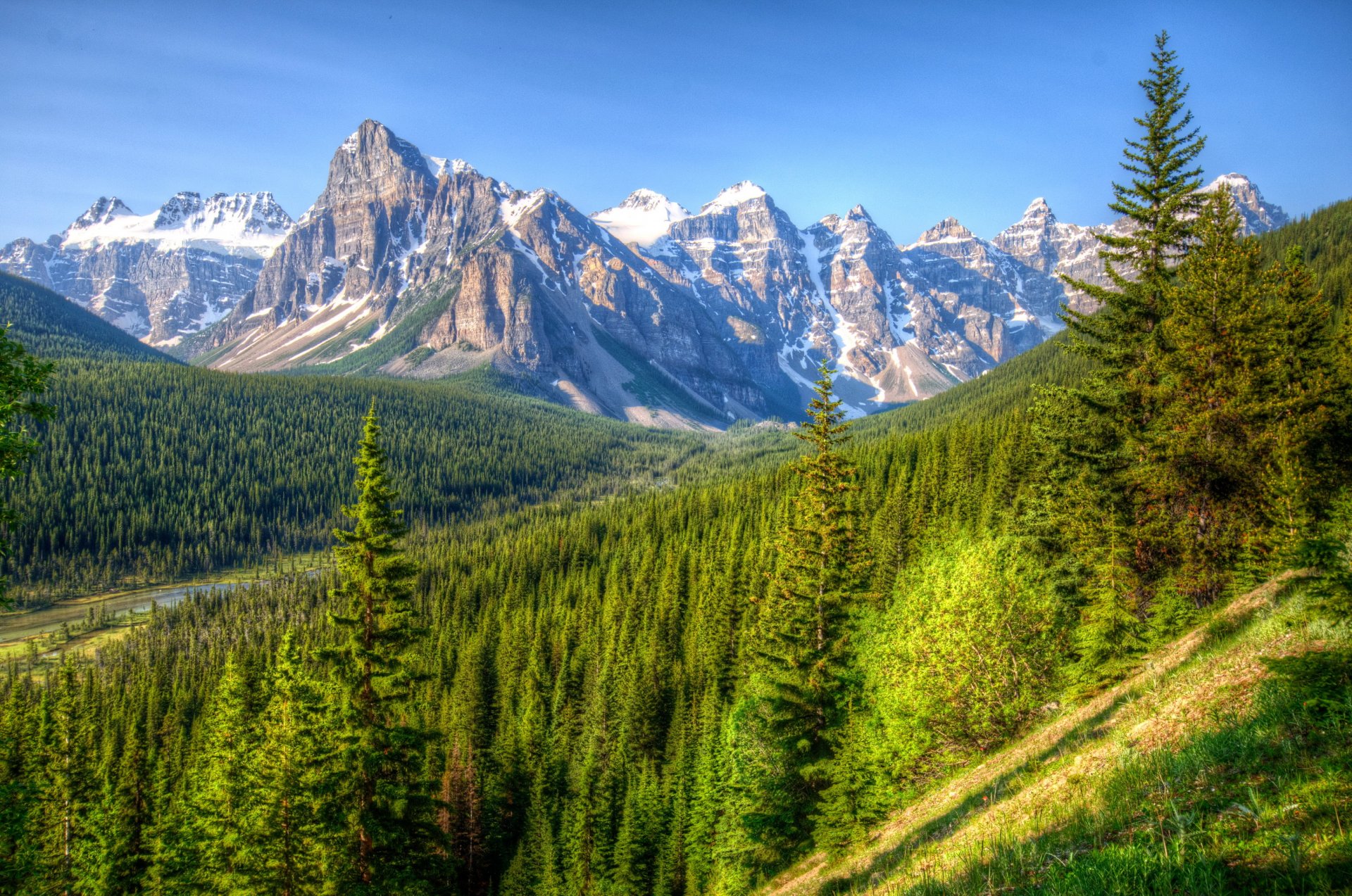 parco canada montagne paesaggio foresta banff natura