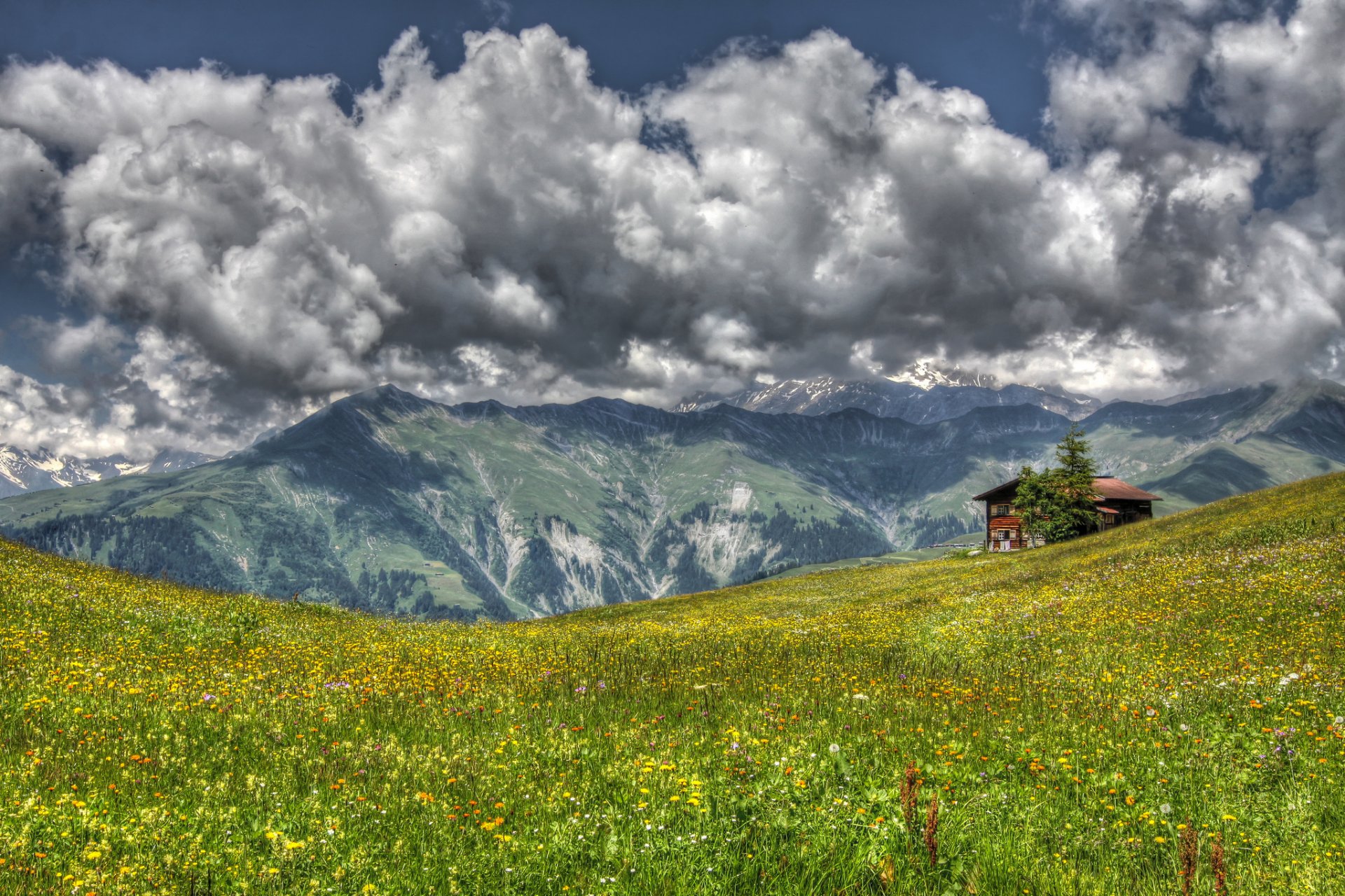 paesaggio montagne prato erba fiori casa