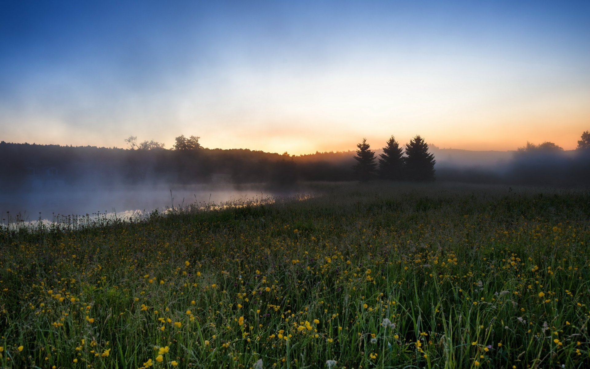 mattina campo fiume nebbia paesaggio