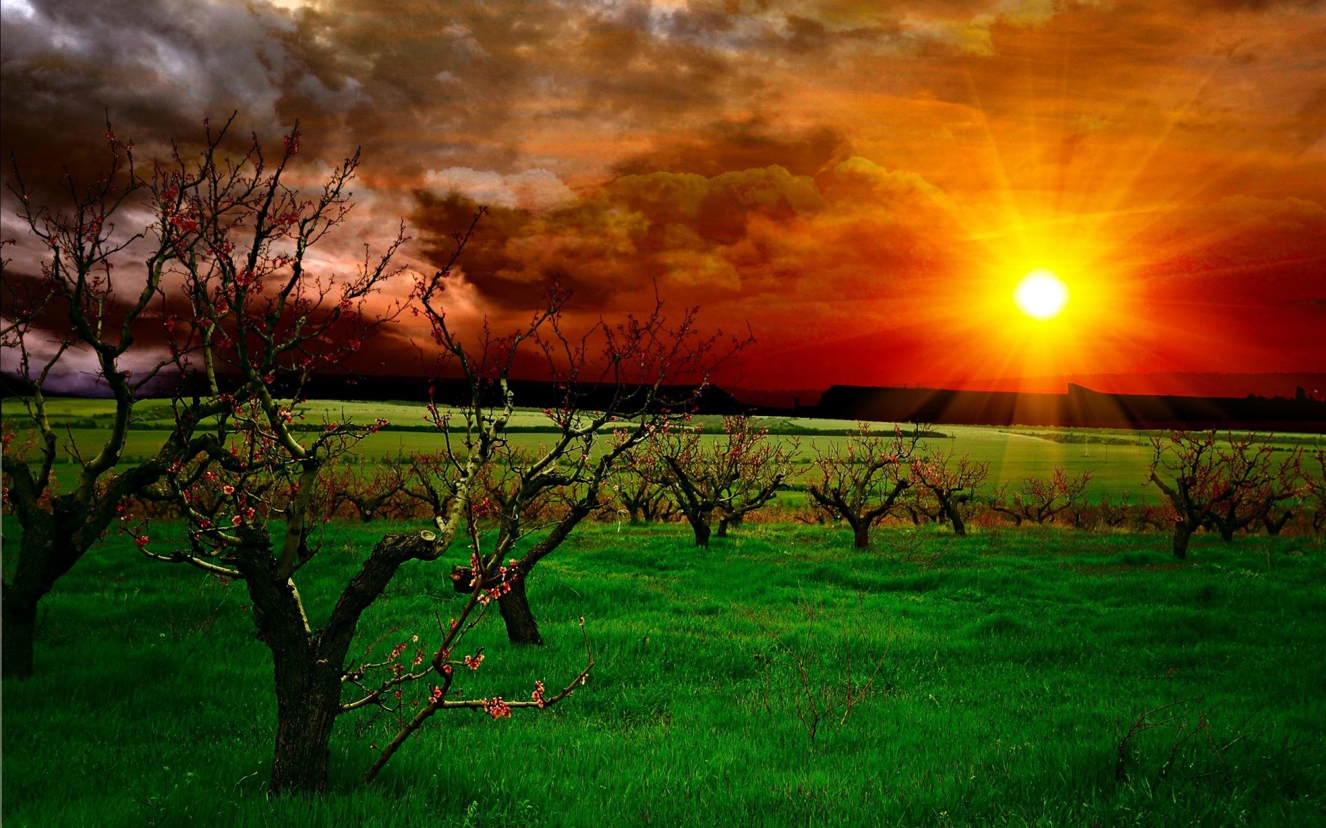 paisaje naturaleza cielo nubes puesta de sol hierba árboles rayos