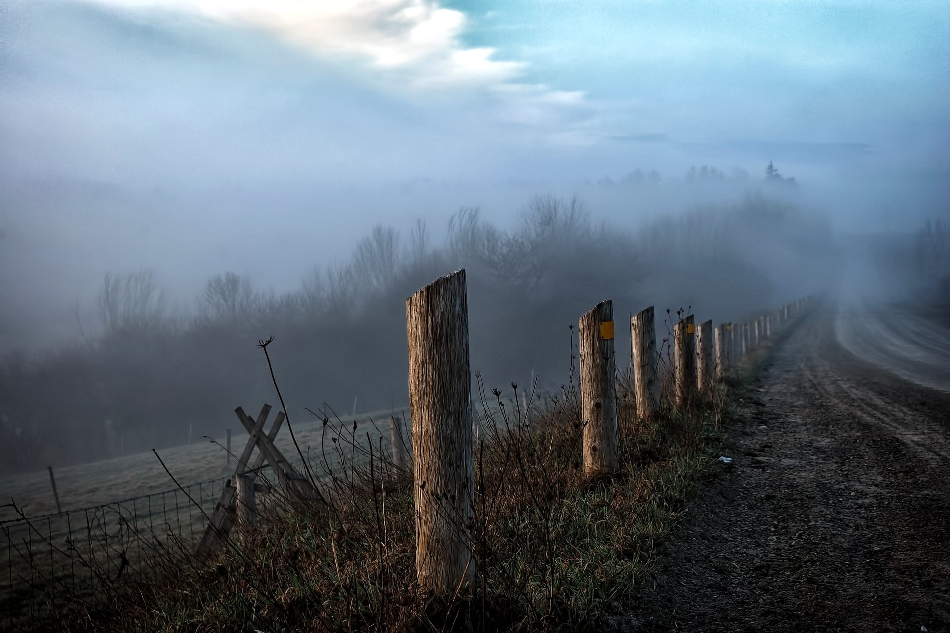 straße morgen nebel zaun landschaft