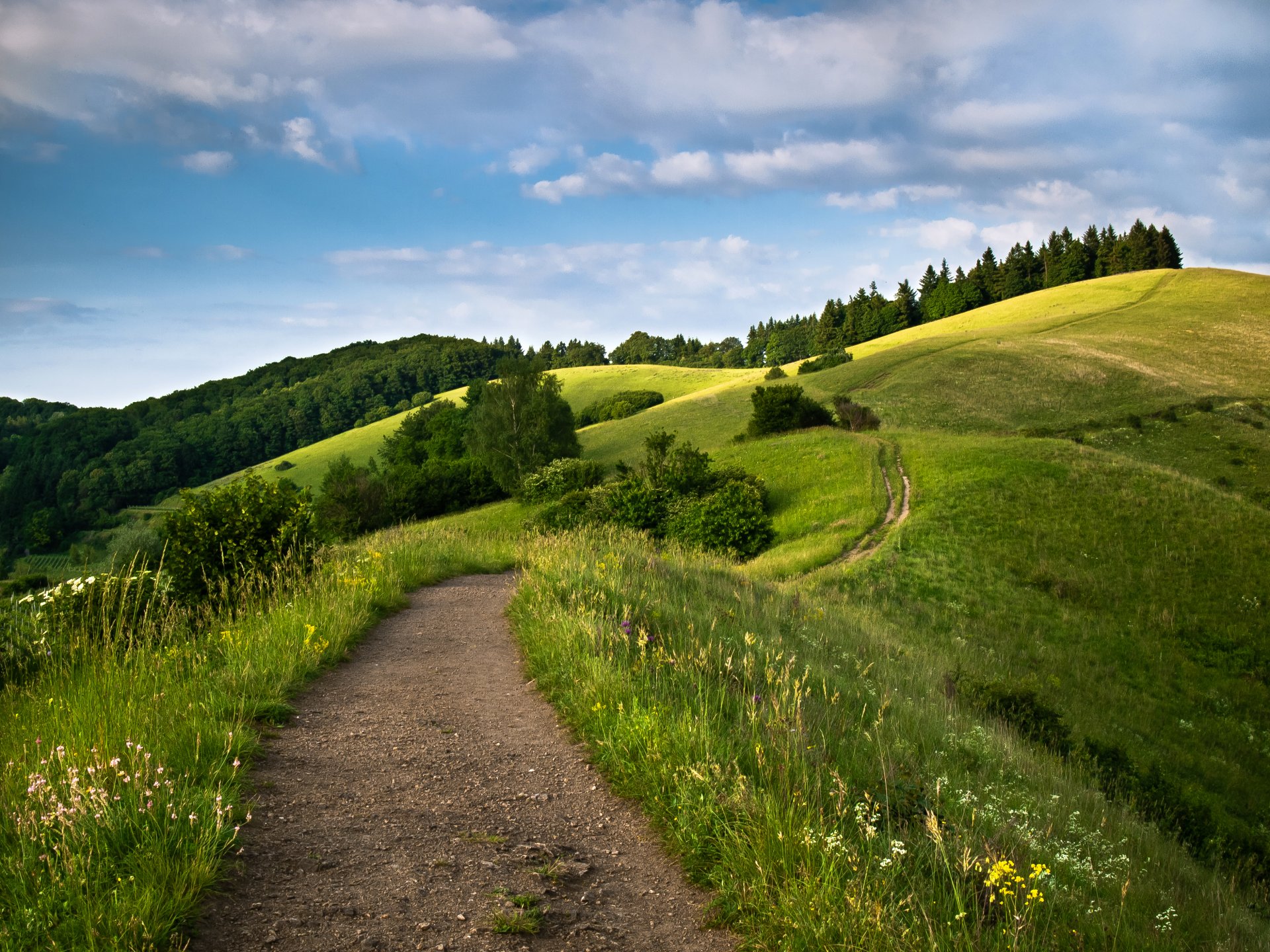 ky clouds hills road tree meadow gra