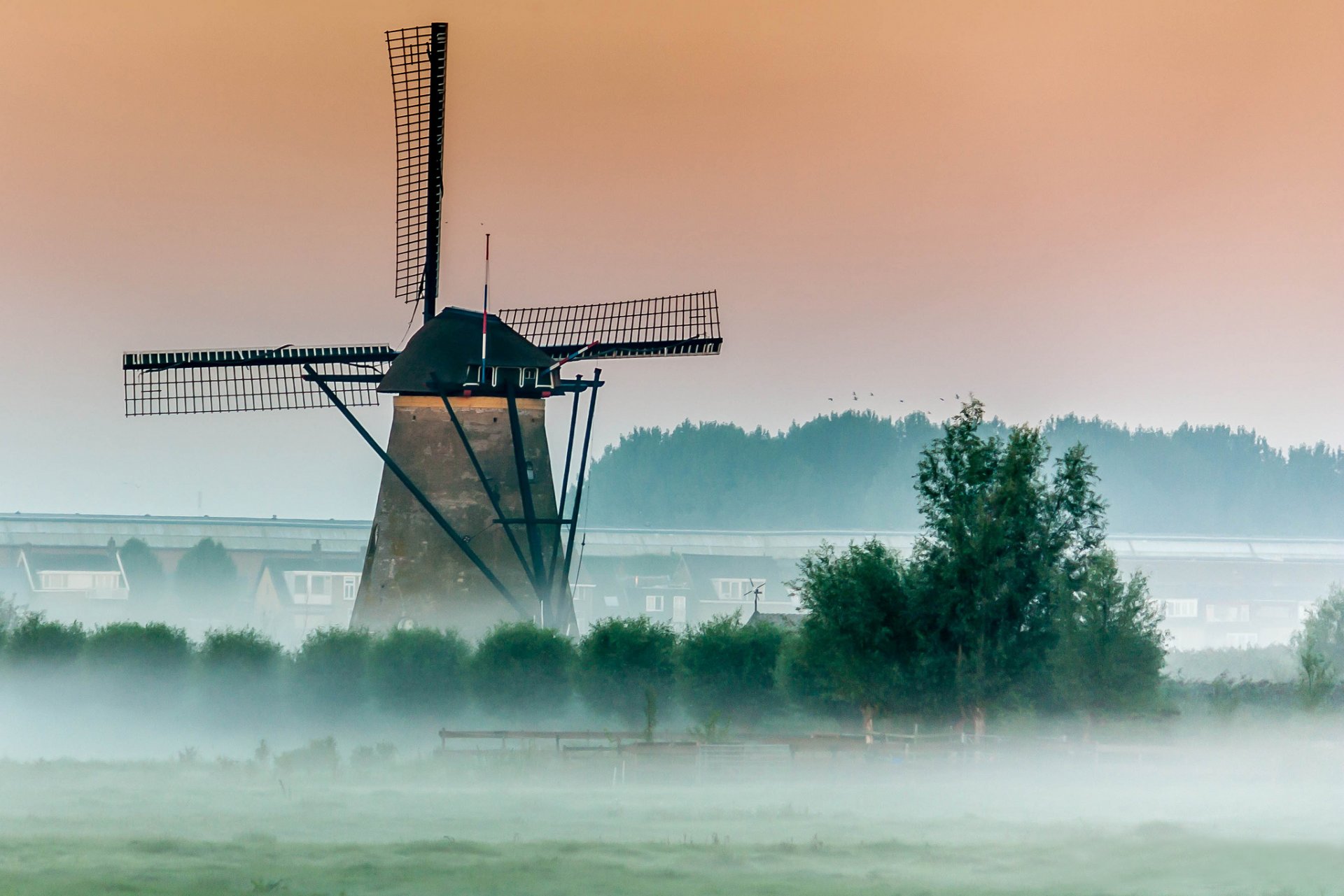 bäume mühle windmühle nebel morgen