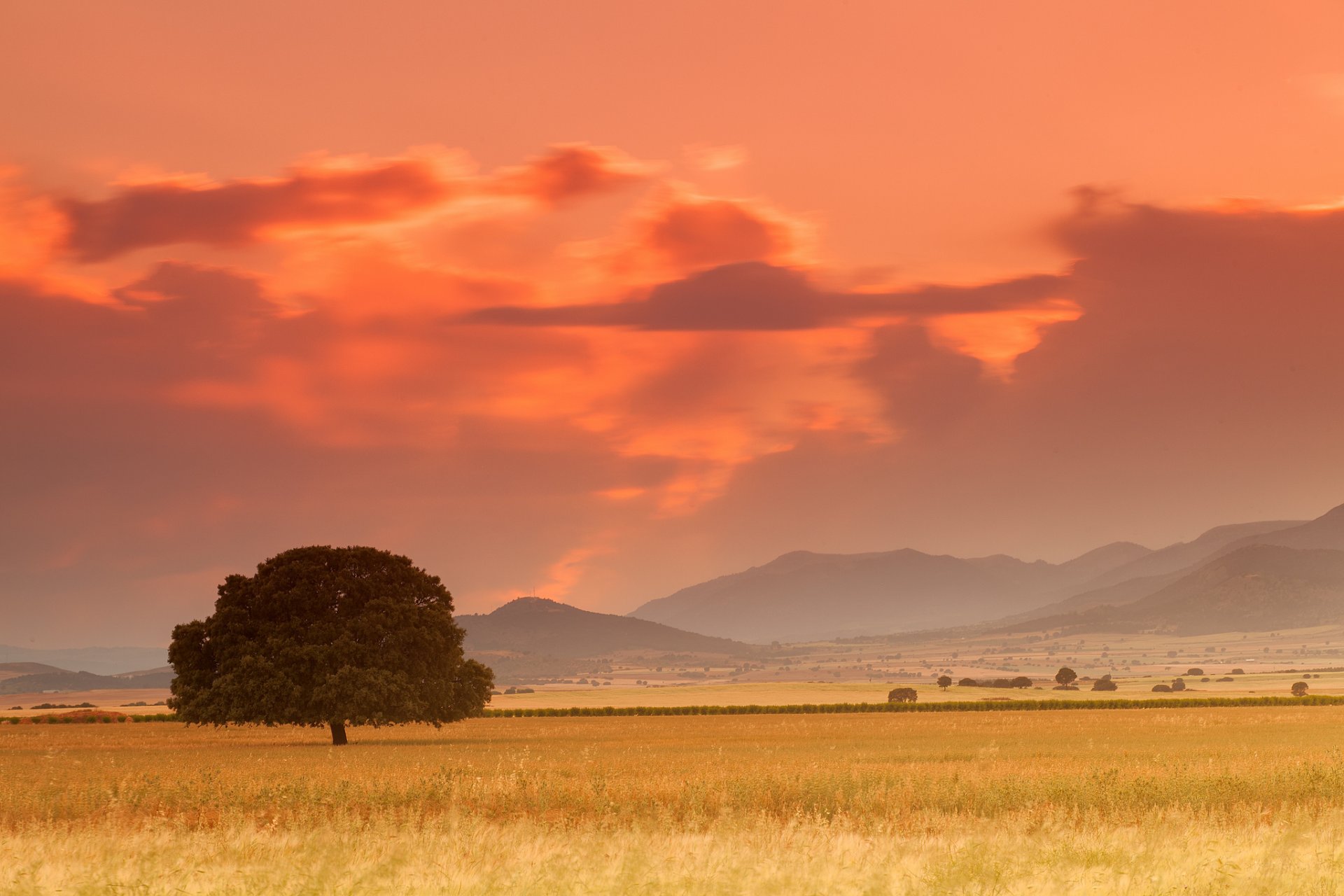 espagne montagnes champ arbres arbre soir coucher de soleil nuages