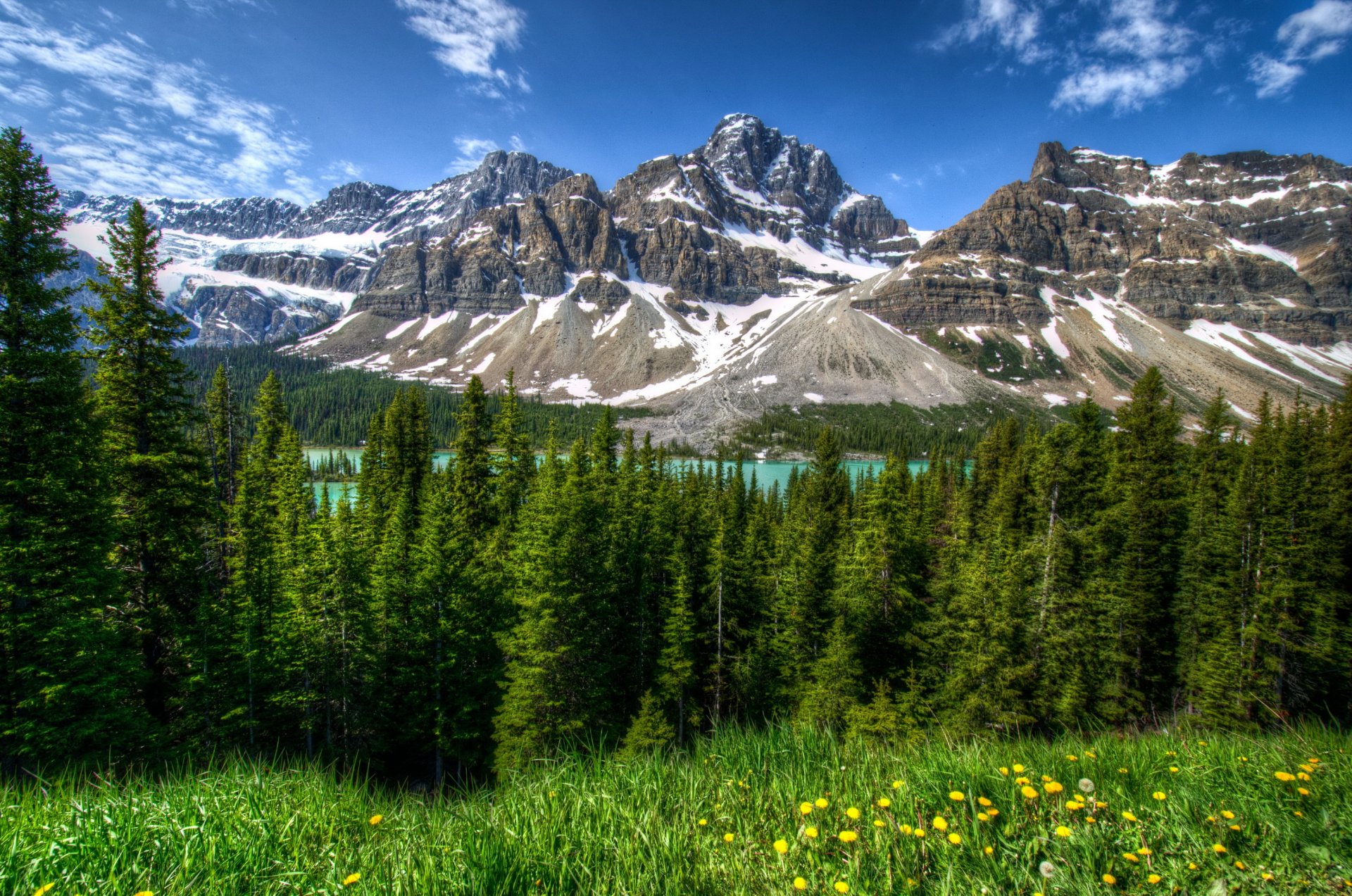 park kanada góry krajobraz las banff trawa drzewa hdr natura