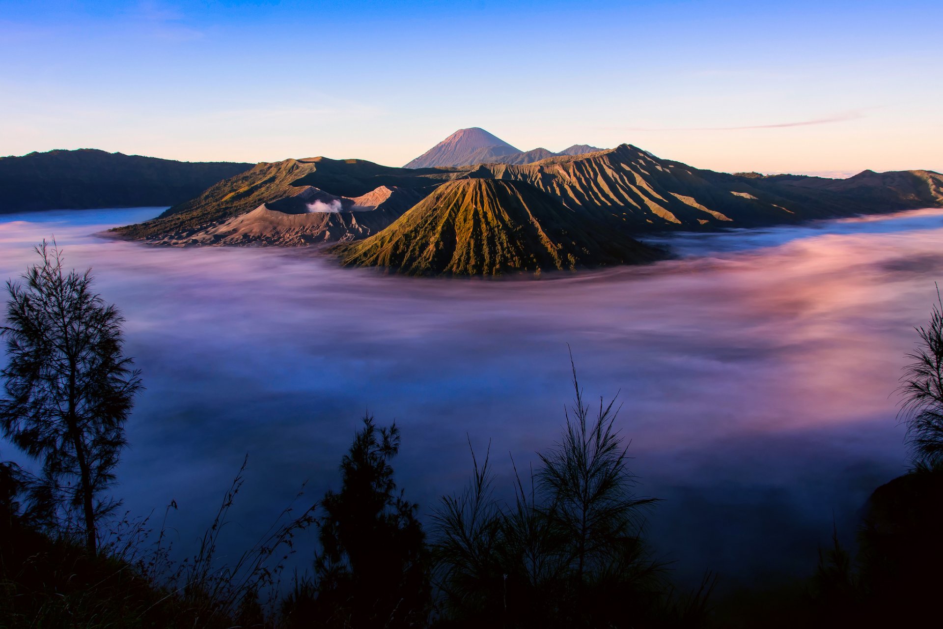 indonesia isola java complesso vulcanico-caldera tengger tengger vulcano bromo mattina nebbia erba sagome