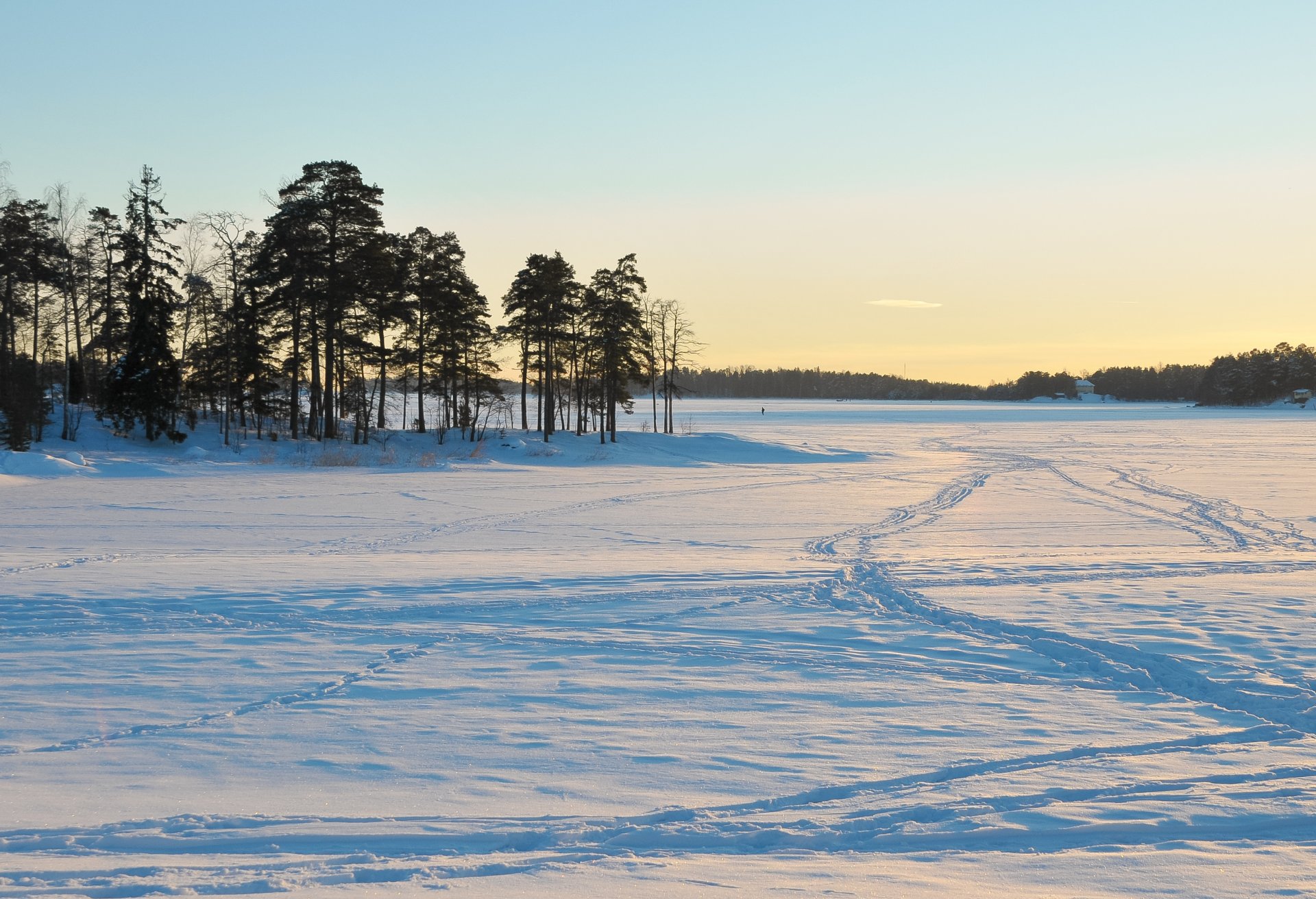 hiver neige paysage nature hiver