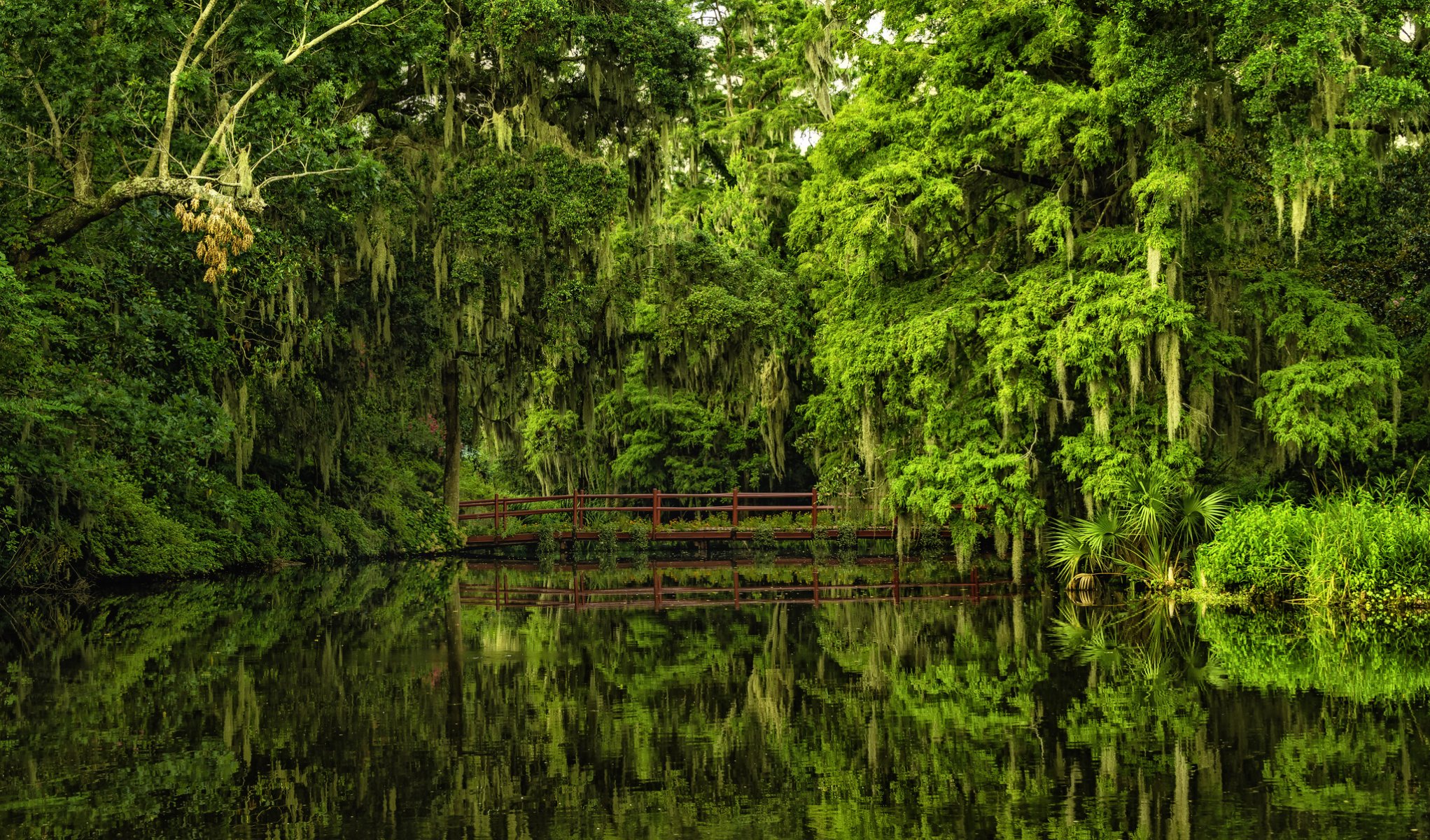 magnolia gardens charleston carolina del sud magnolia gardens charleston ponte riflessione acqua alberi