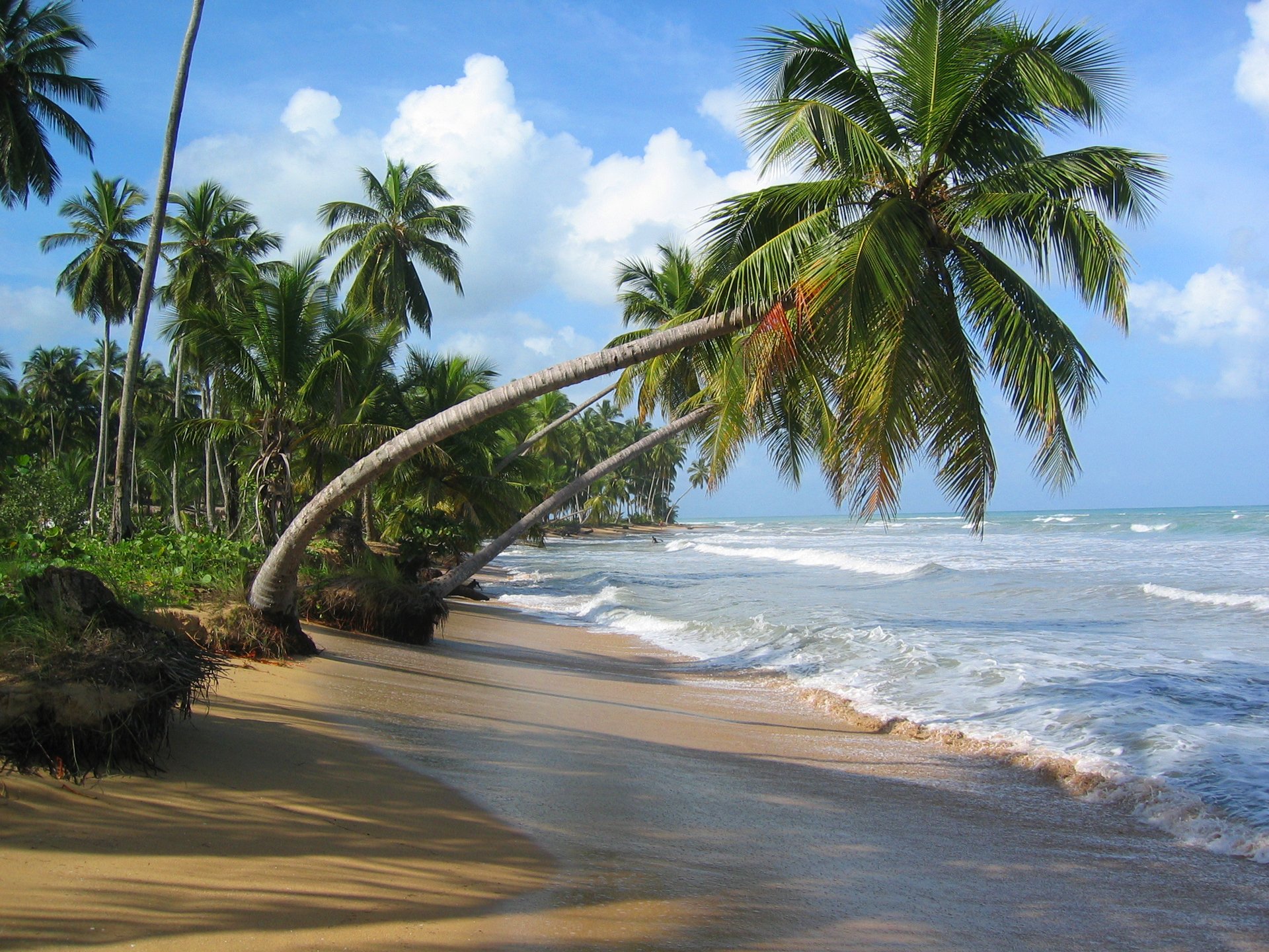 himmel wolken meer ozean brandung sand palme tropen strand