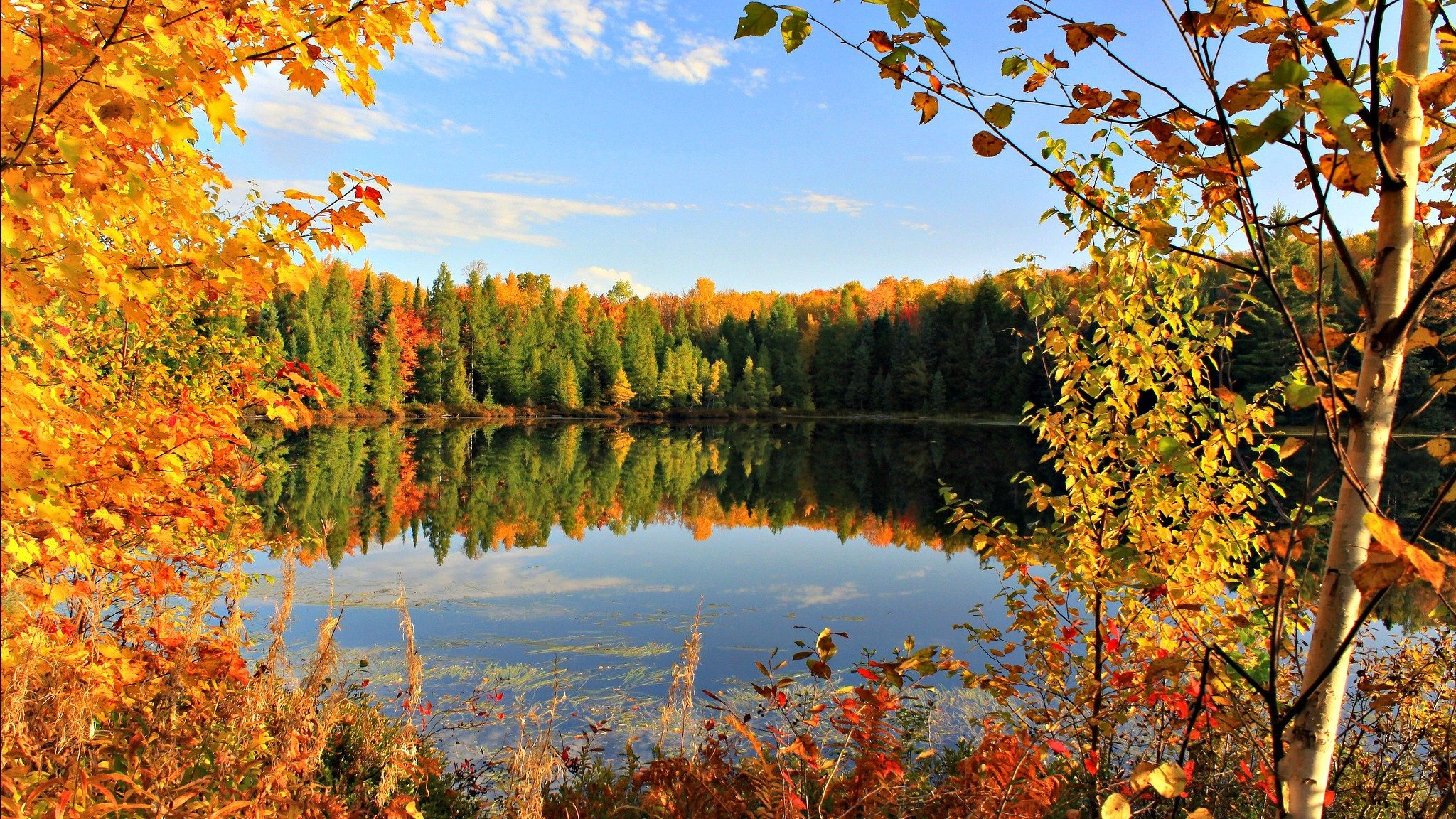 herbst goldener herbst blätter himmel teich see wolken september bäume