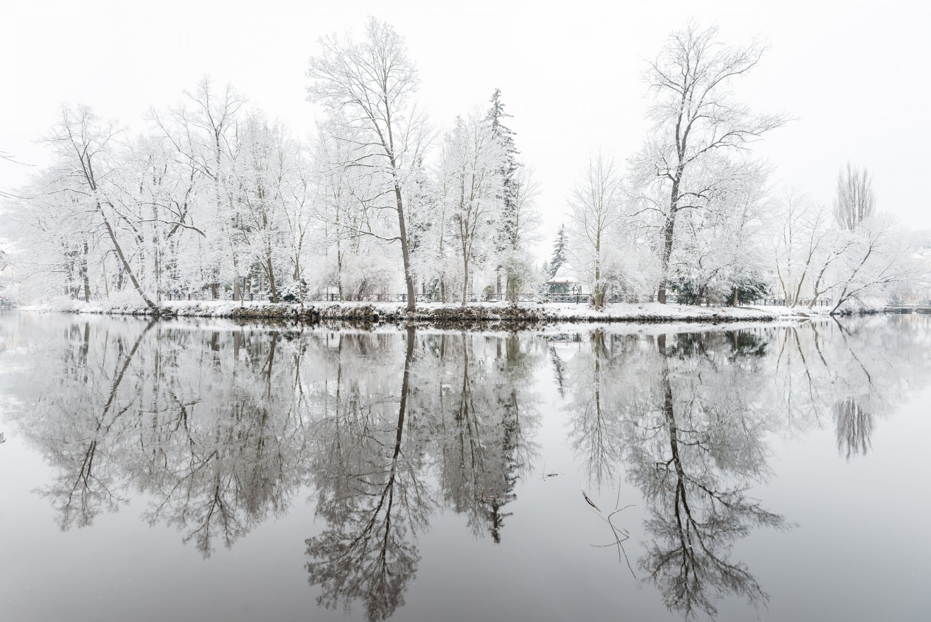 inverno parco lago alberi gelo riflessione