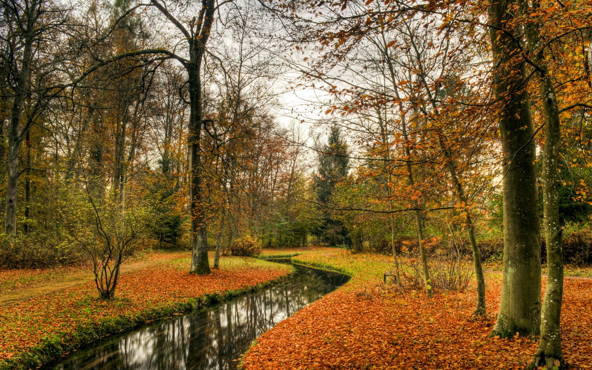 park herbst natur landschaft