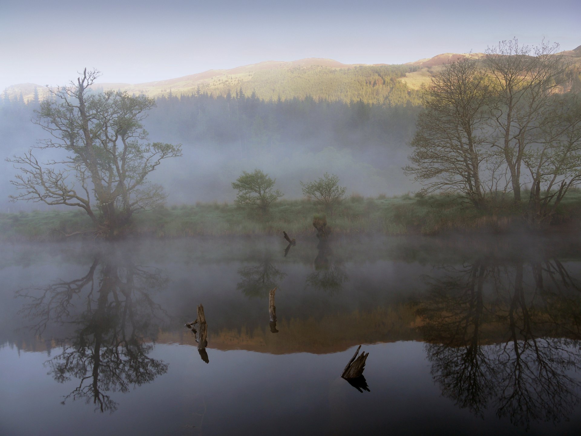 montagna foresta lago nebbia