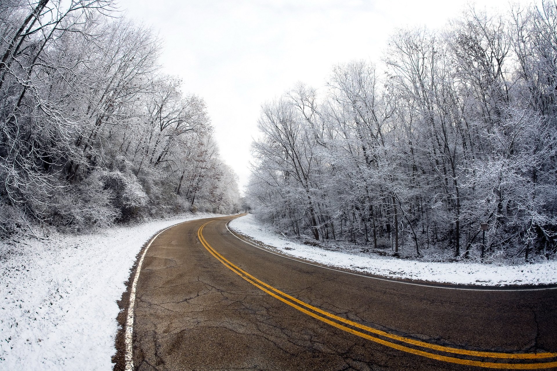 strada inverno alberi paesaggio