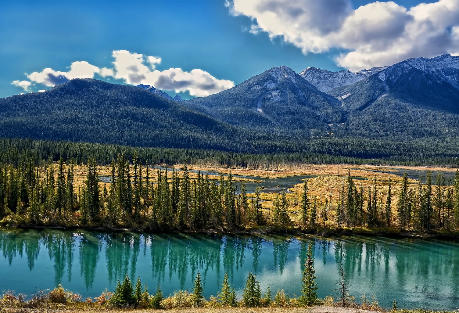 bow river alberta kanada bow river berge tal bäume