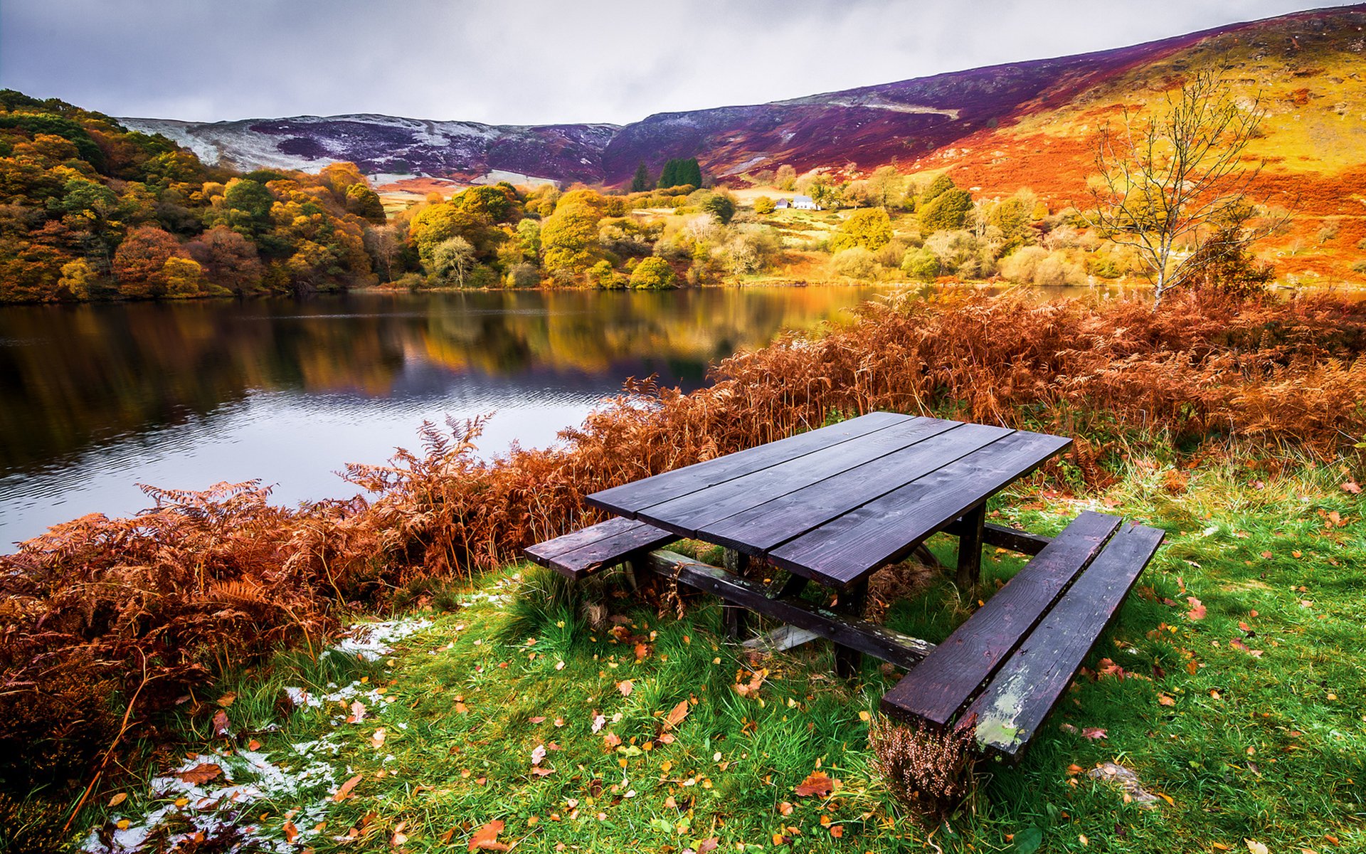 landscape autumn river beach tree table shops grass leave