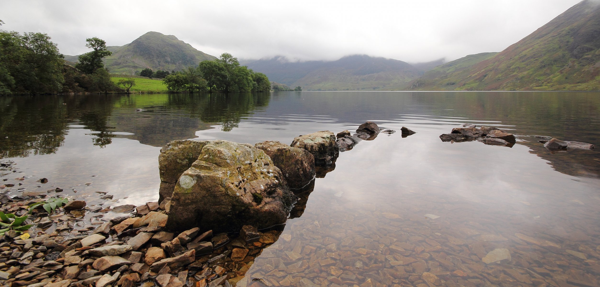 mountain lake stones tree fog