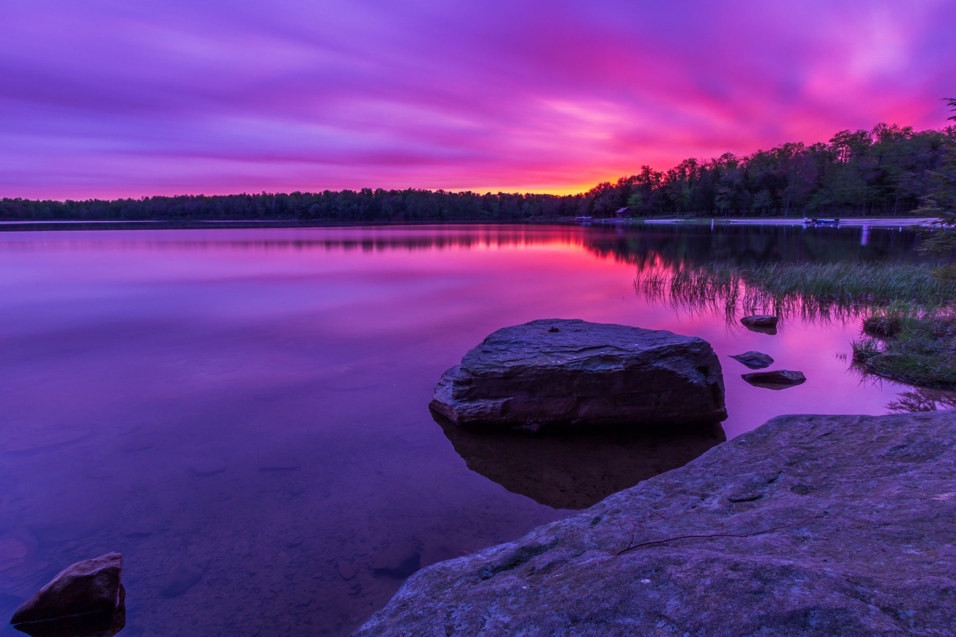 bosque lago piedras amanecer lila