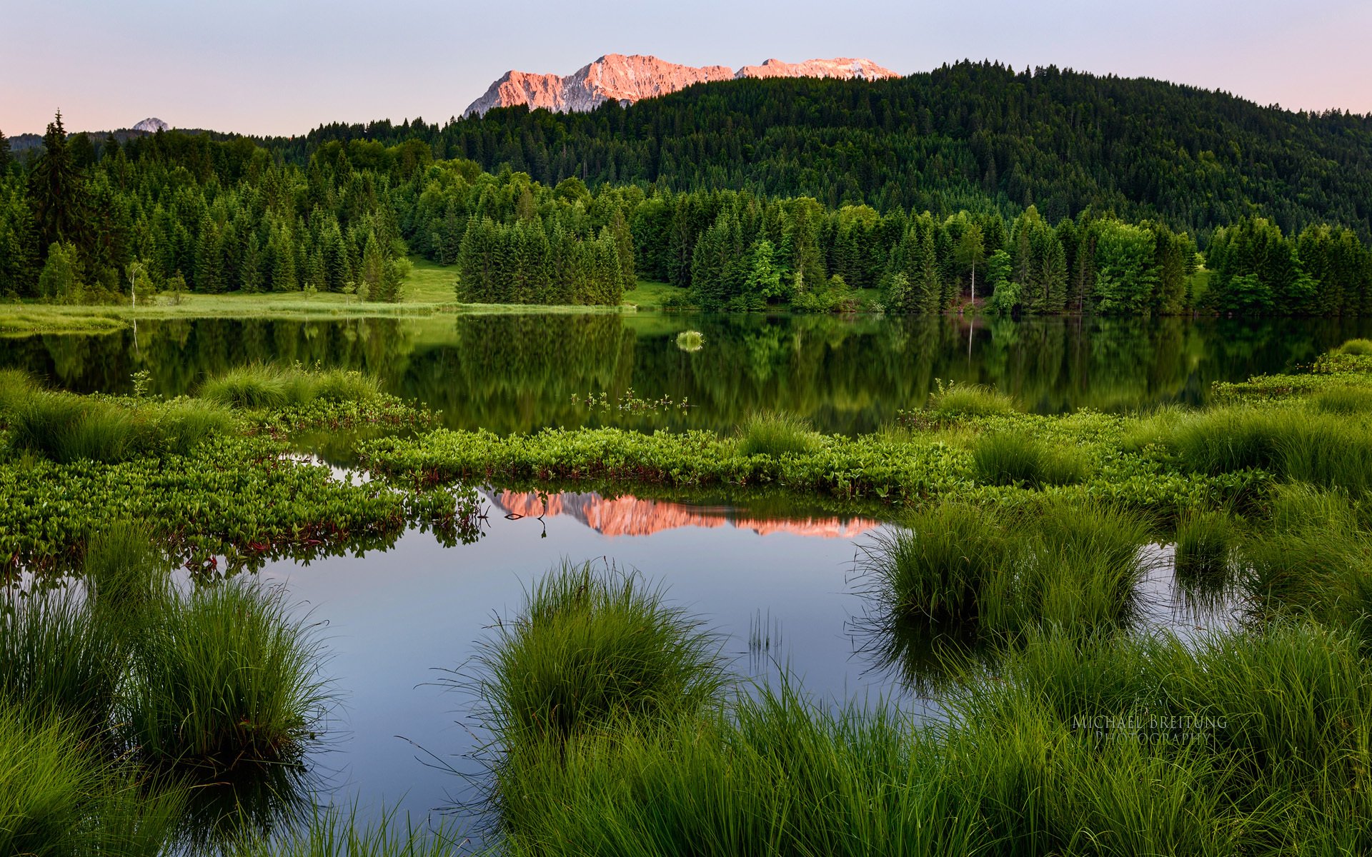 été forêt montagnes paysage michael breitung