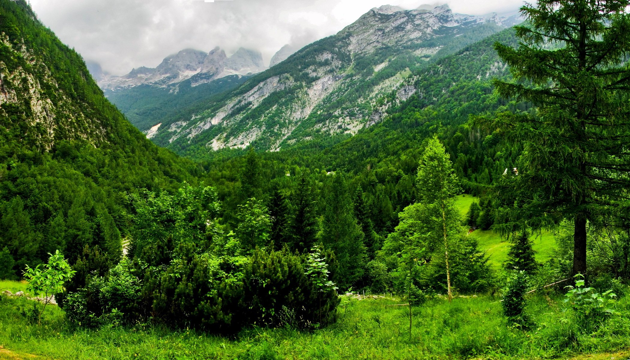 berge bovec schweiz wald grün