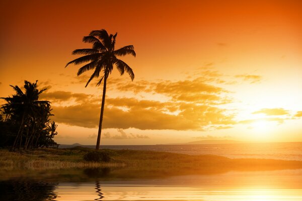 Tropische Hawaii-Landschaft, Natur, Wolken