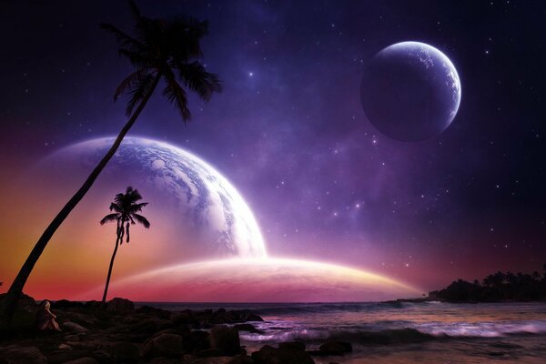 Landschaft der Küste mit Palmen, Planeten am Sternenhimmel