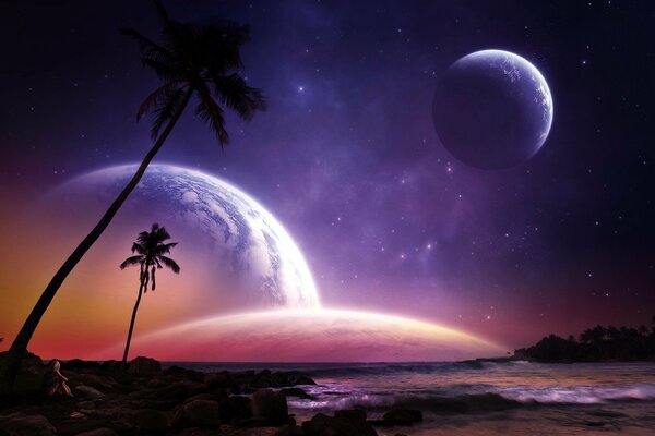 Landscape of the seashore with palm trees, planets in the starry sky