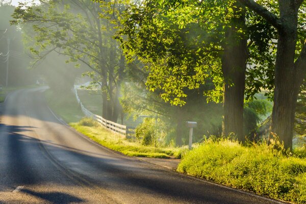 Beau paysage. Route dans le brouillard