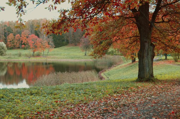 Herbstliche Natur mit See und Bäumen