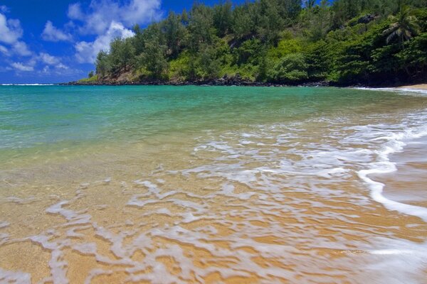 Acqua dell oceano trasparente sulla spiaggia del Sud