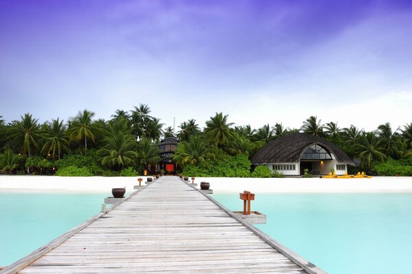 A bridge in the ocean to beautiful palm trees